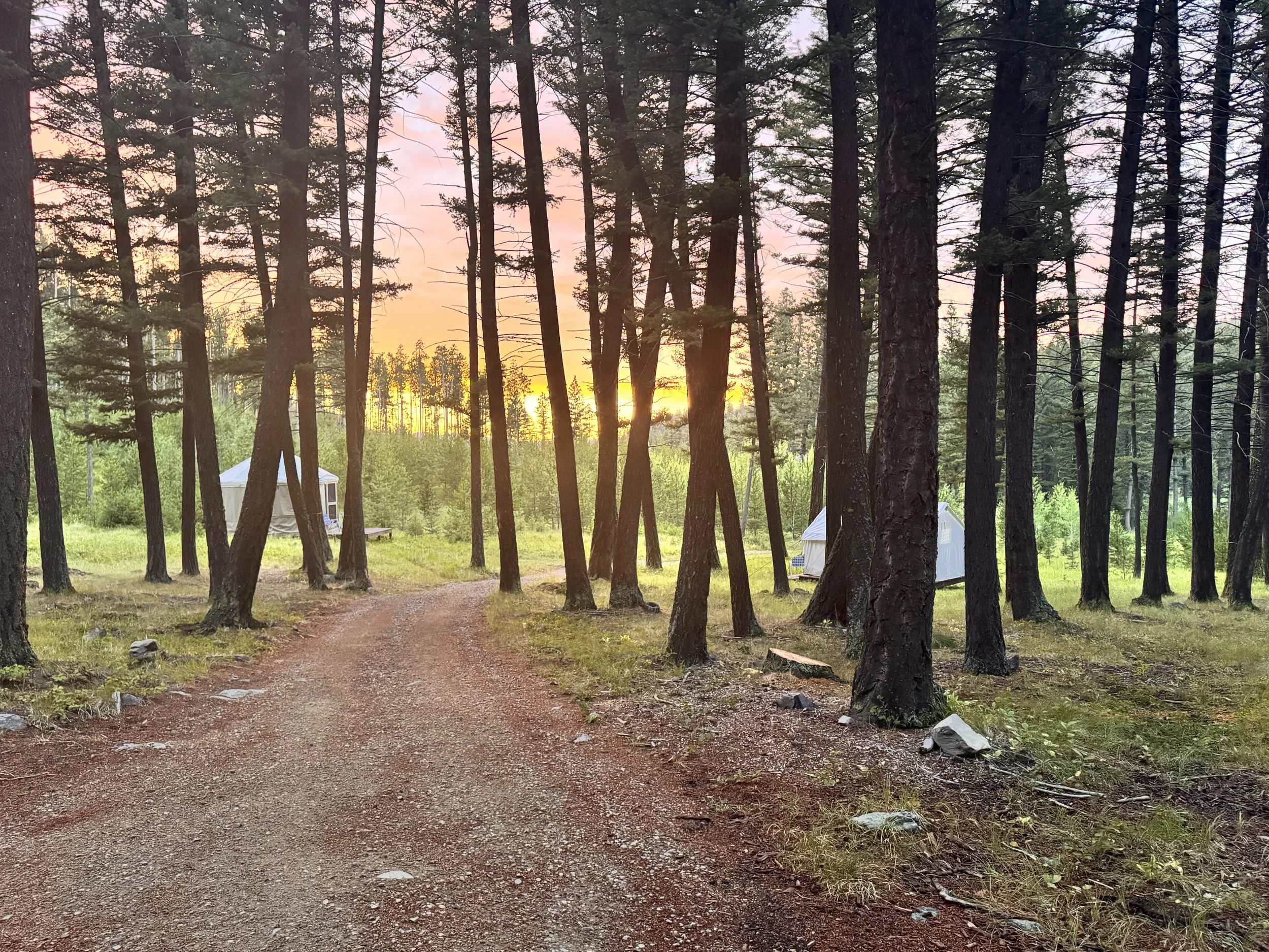 From Mindful Unplug to Mindful Engagement
