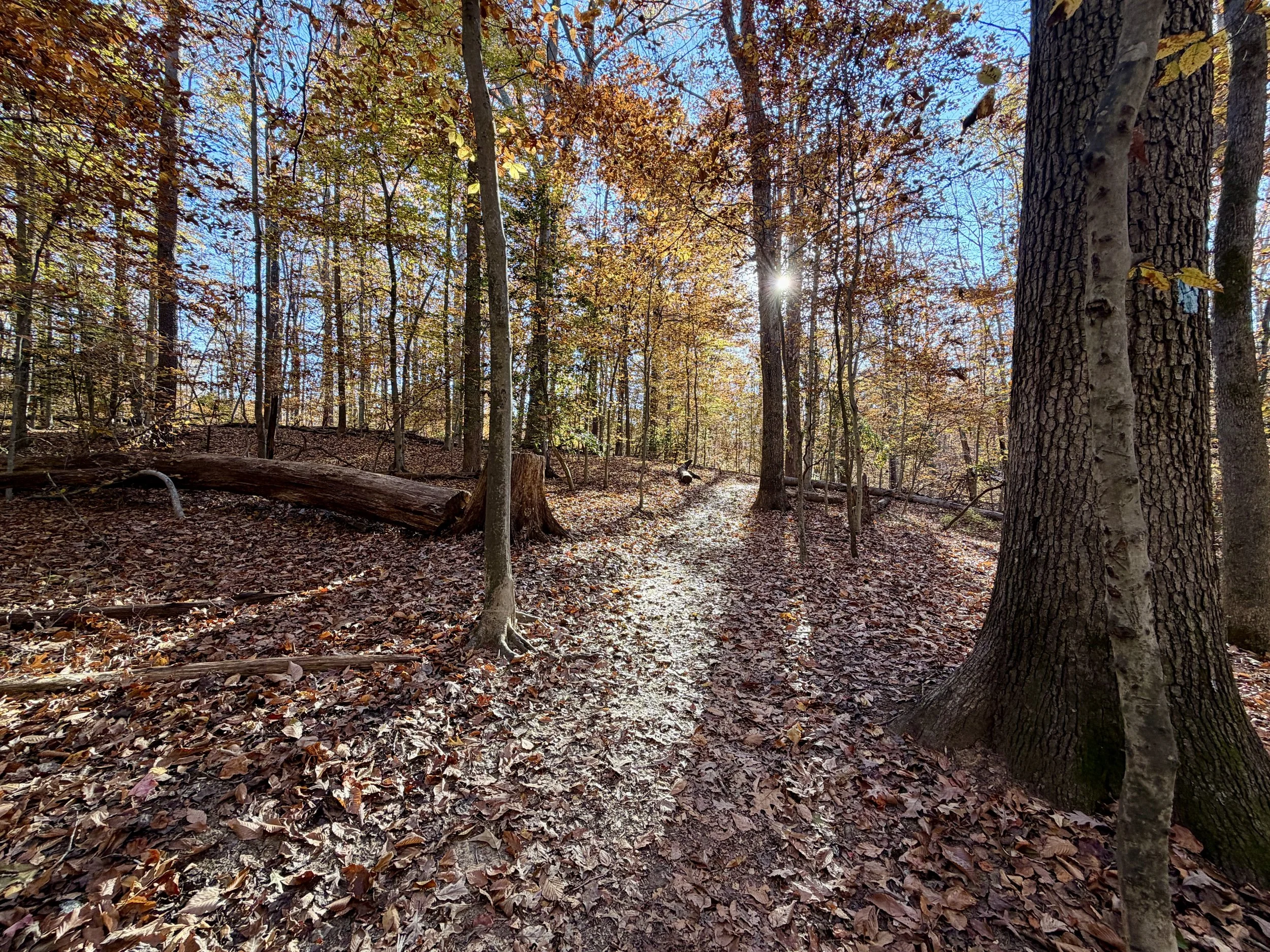 Quiet Rebels Invented Unplugging a Long Time Ago