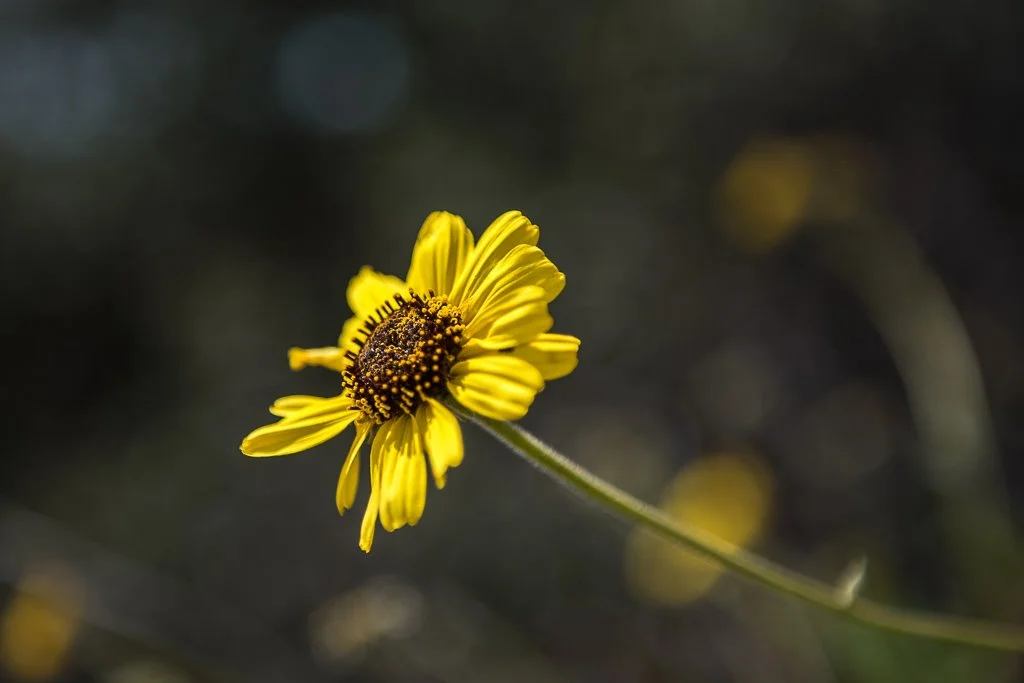 The Body Has Joined the Chat