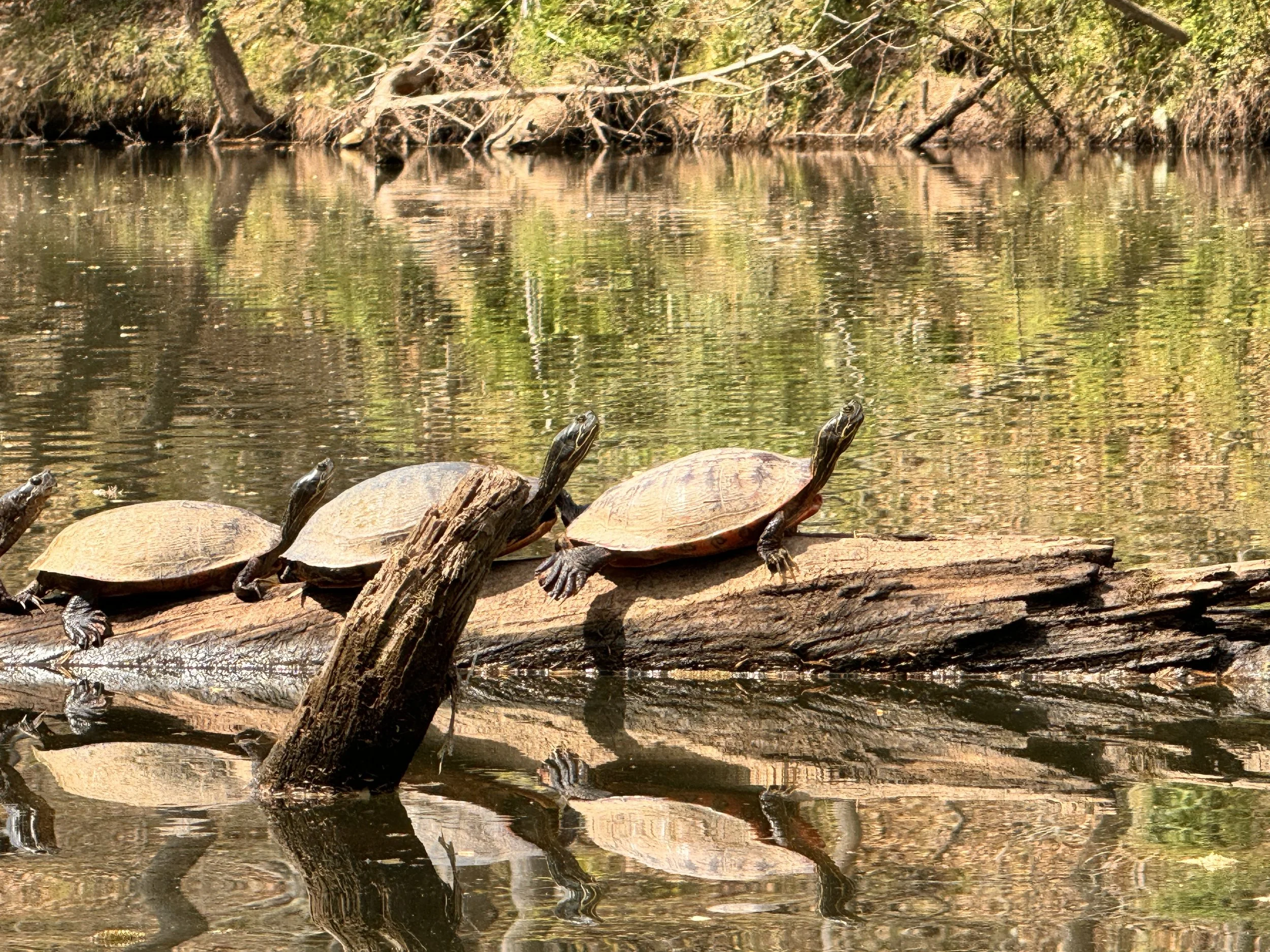 The Edge Is Where It Gets Interesting