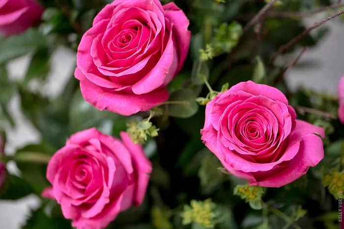 08Valentines Day_Financial District_Floral Ornament_Kelly Vorves Photography.jpg