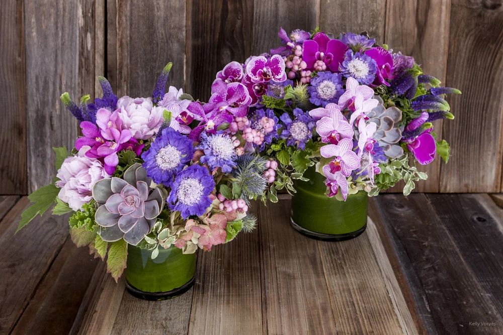 27_WEB_Fall-Winter2015_3657.jpg,