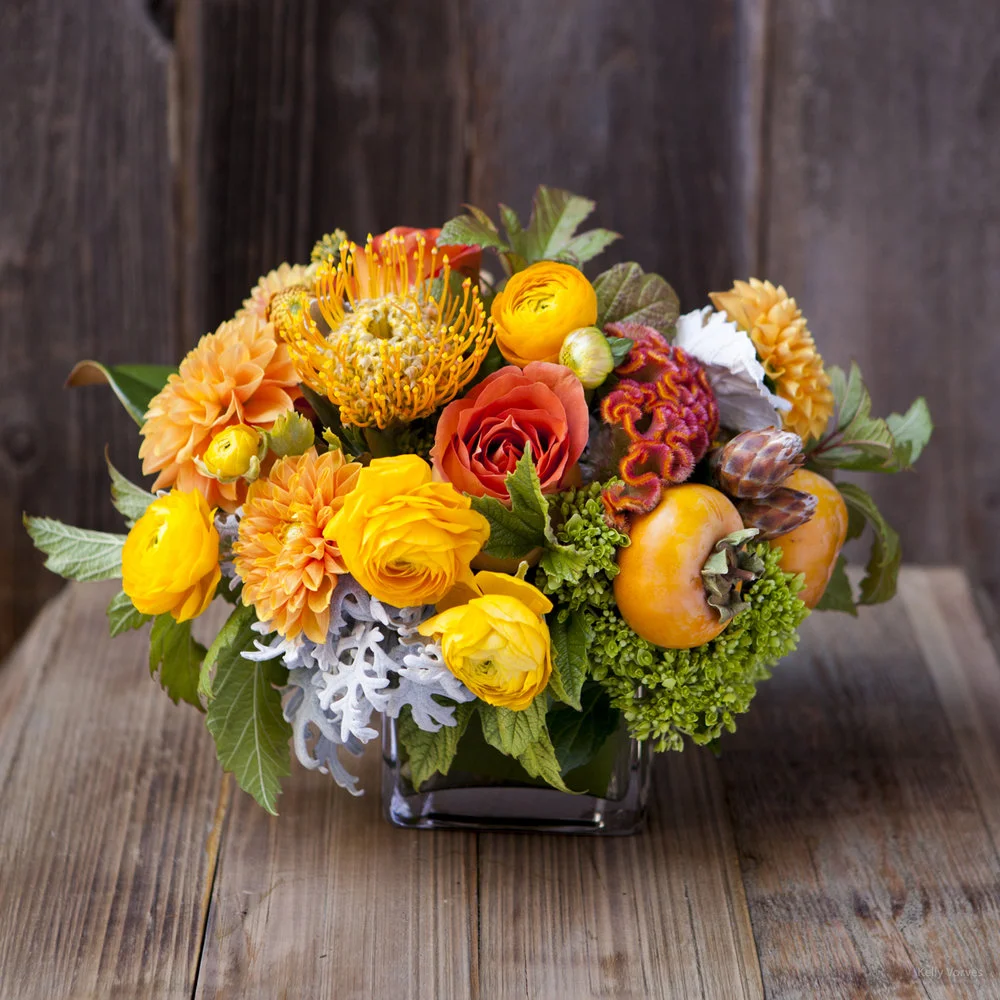 11_WEB_Fall-Winter2015_3465.jpg,