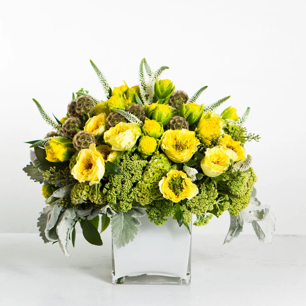 Yellow+and+green.jpg,