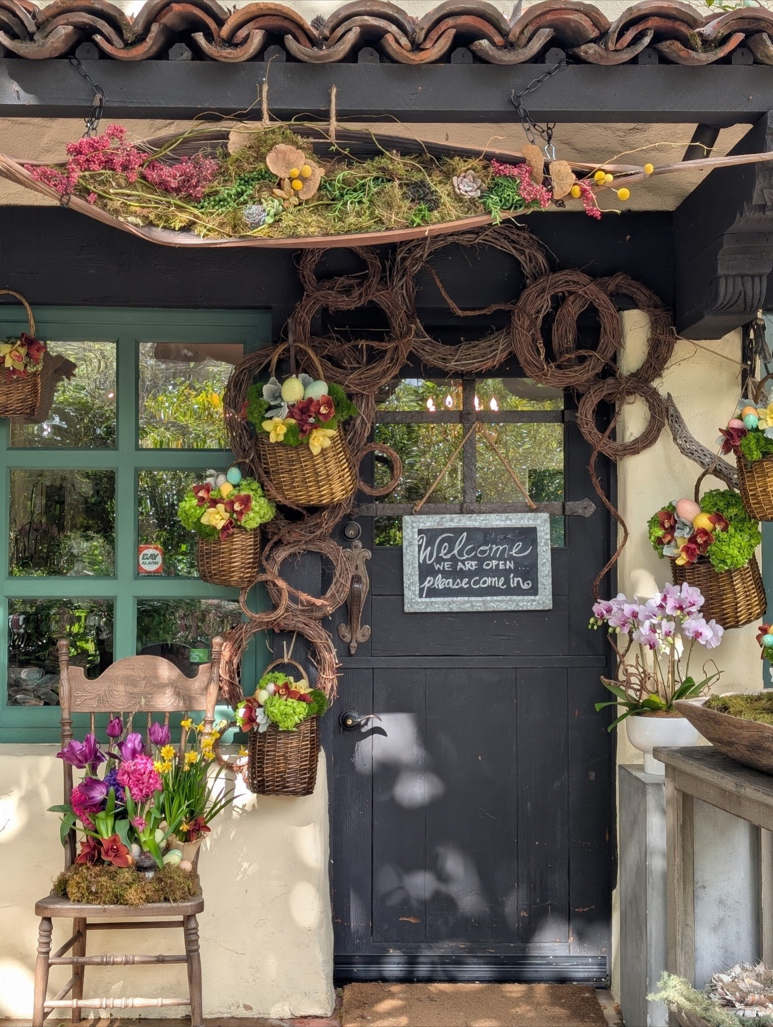 🌿 Welcome to the Menlo Botanica Journal