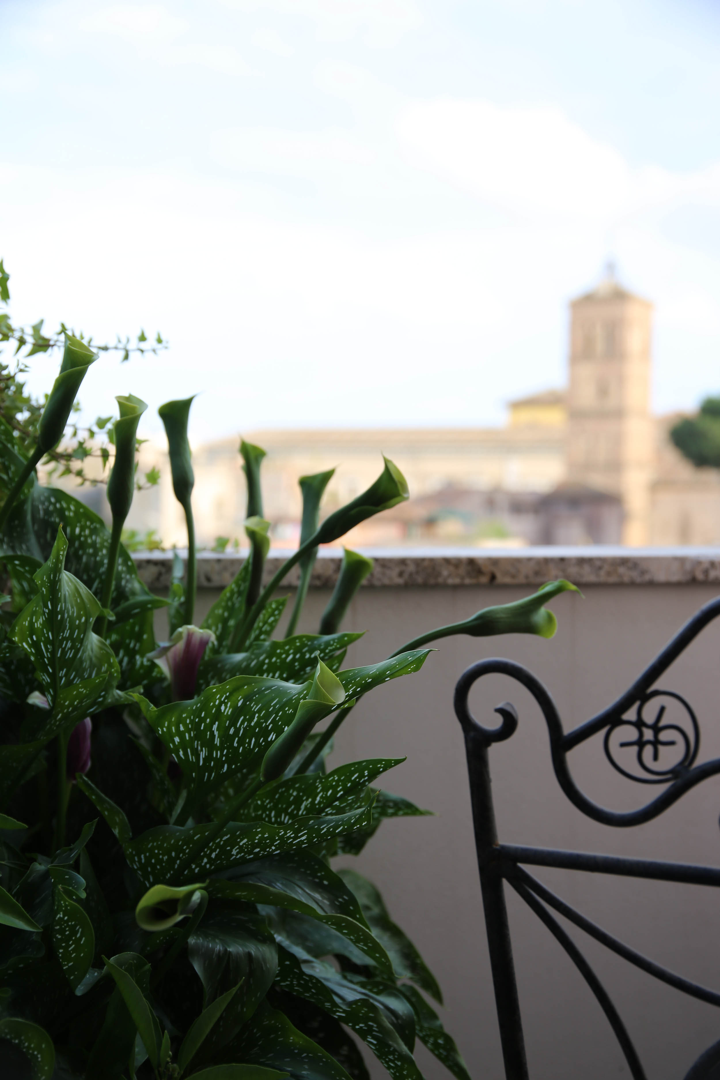 apartment in Trastevere, Rome