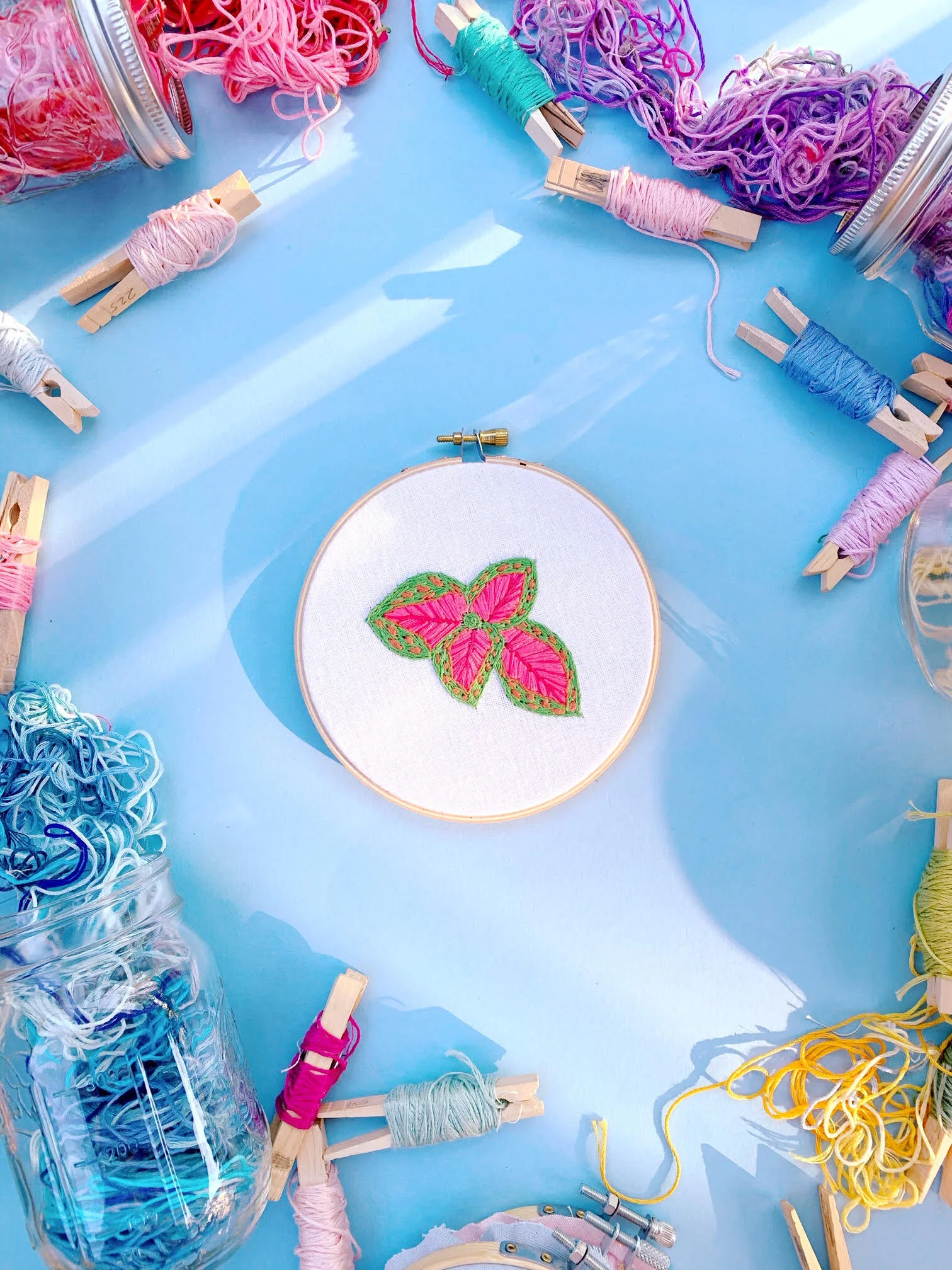 Watermelon Splash Coleus . From 200 Embroidery Flowers by Kristen Gula