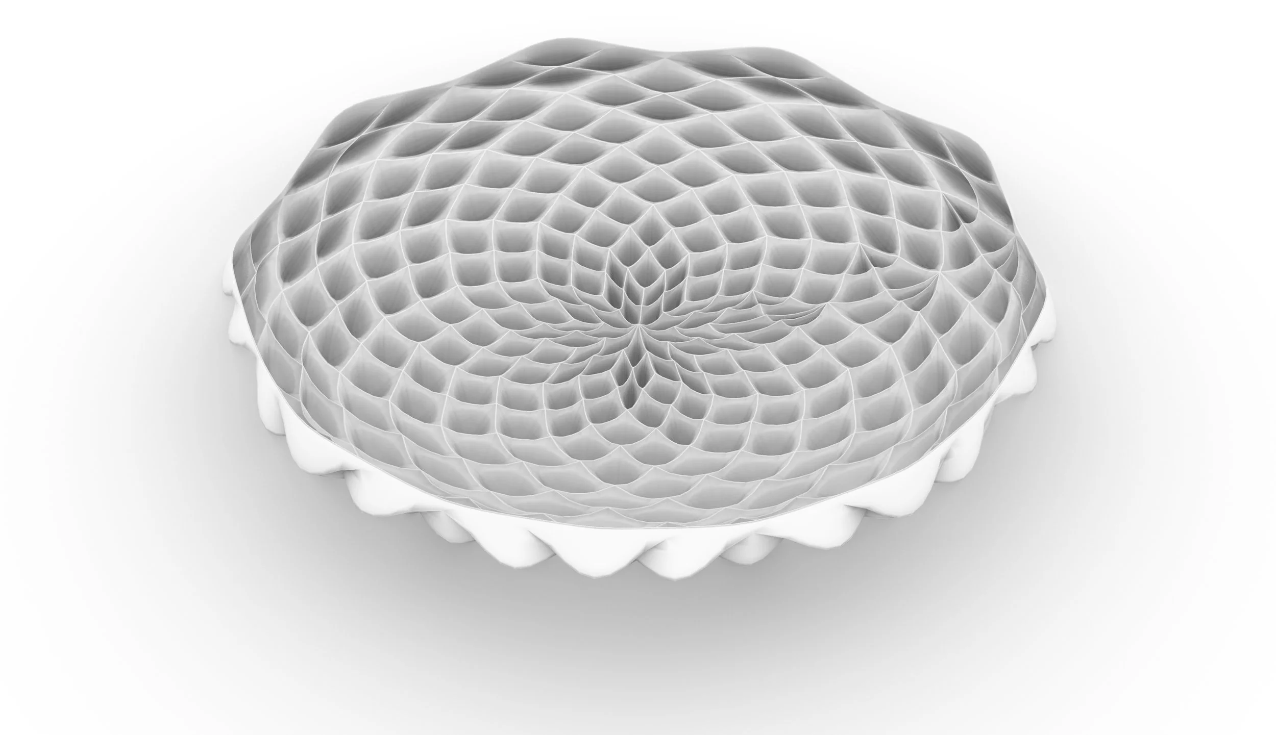 2_fruit bowl fibonacci-inside.jpg