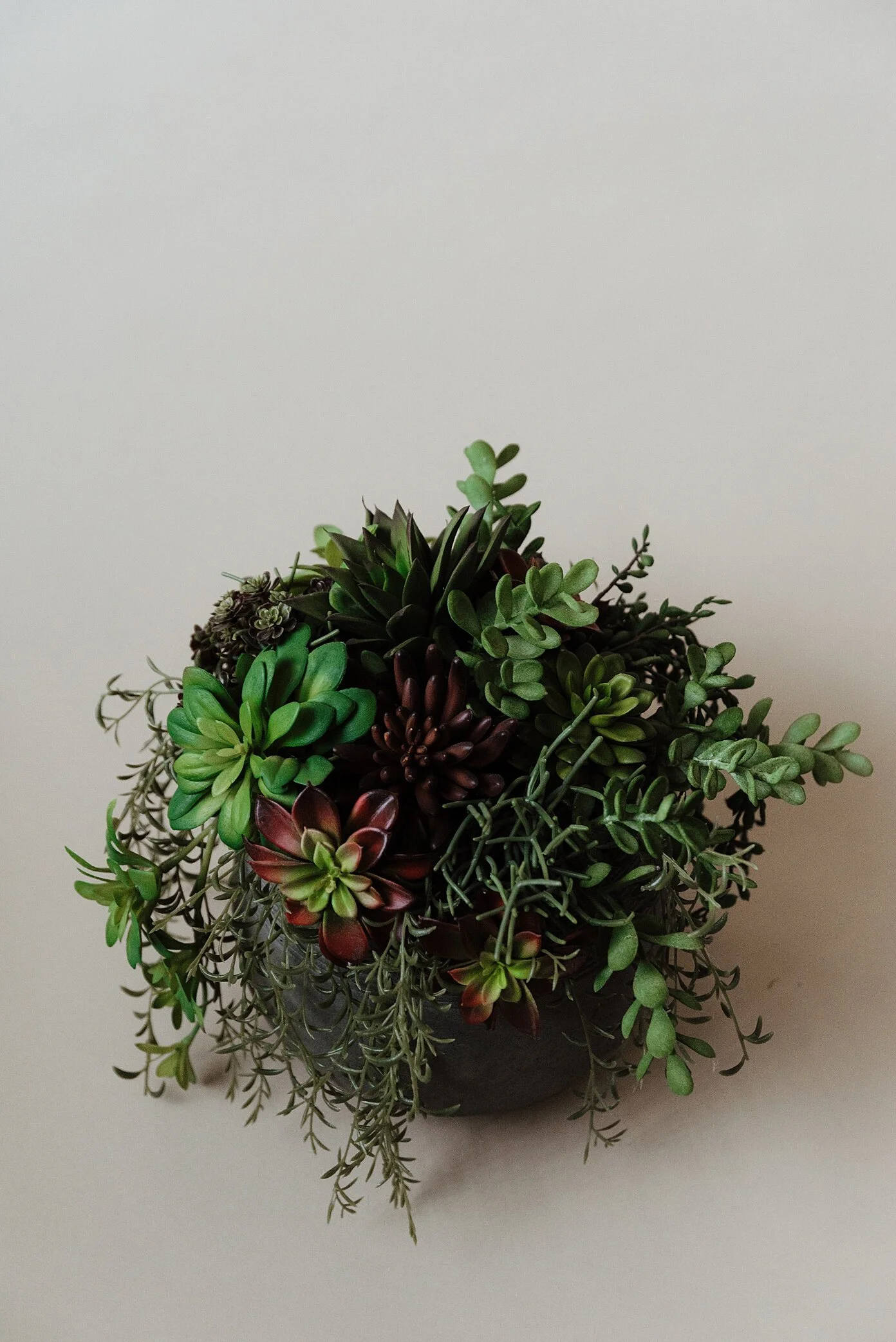 TreeBroker.November.Zandrabarrigaphoto-13.jpg