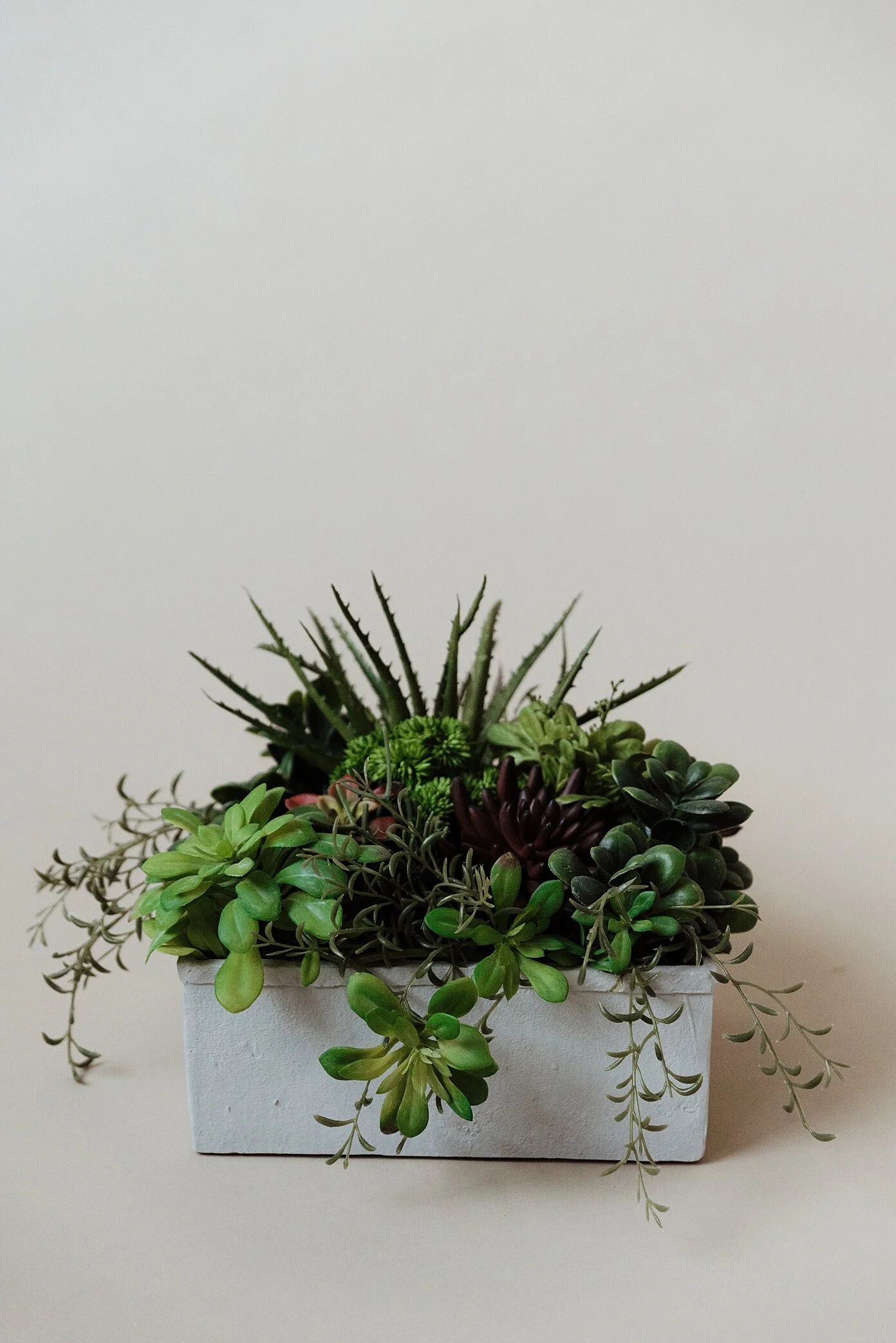 TreeBroker.November.Zandrabarrigaphoto-14.jpg