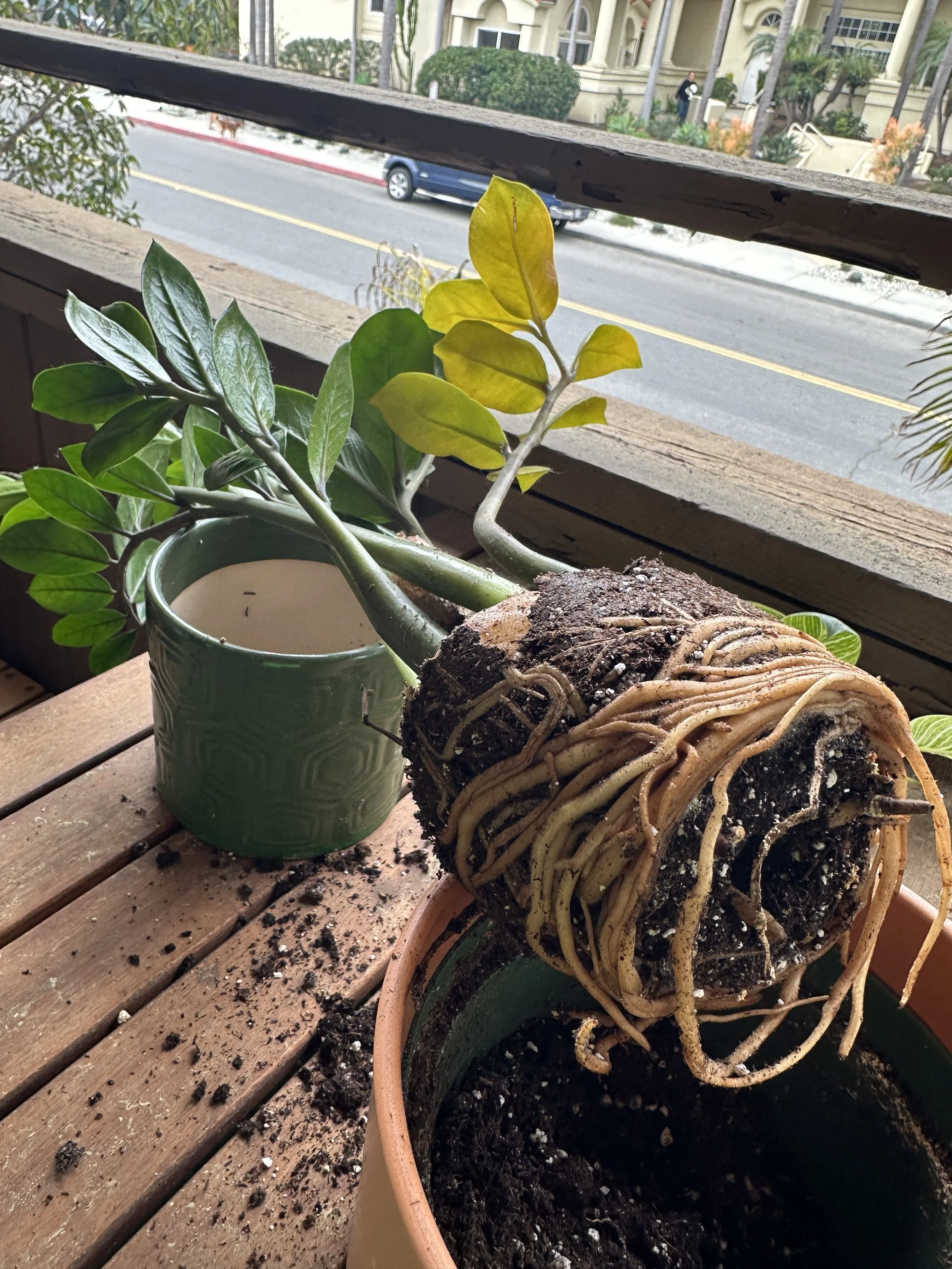 Your Terracotta Moment | San Diego Therapy