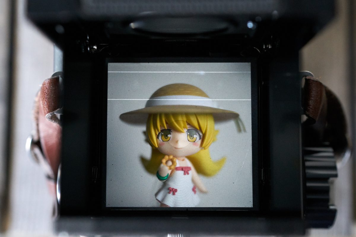 Close up of the focusing screen