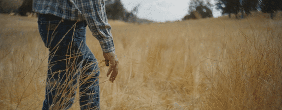 Remnants | Short Doc