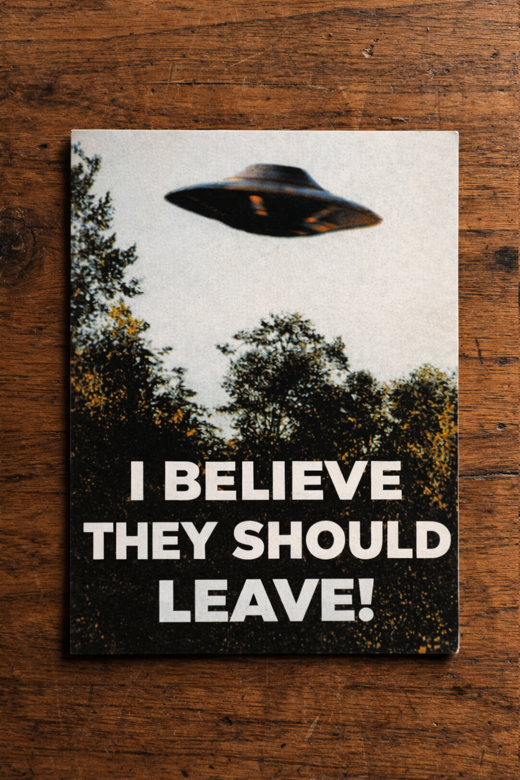 I Believe (They Should Leave) Sticker
