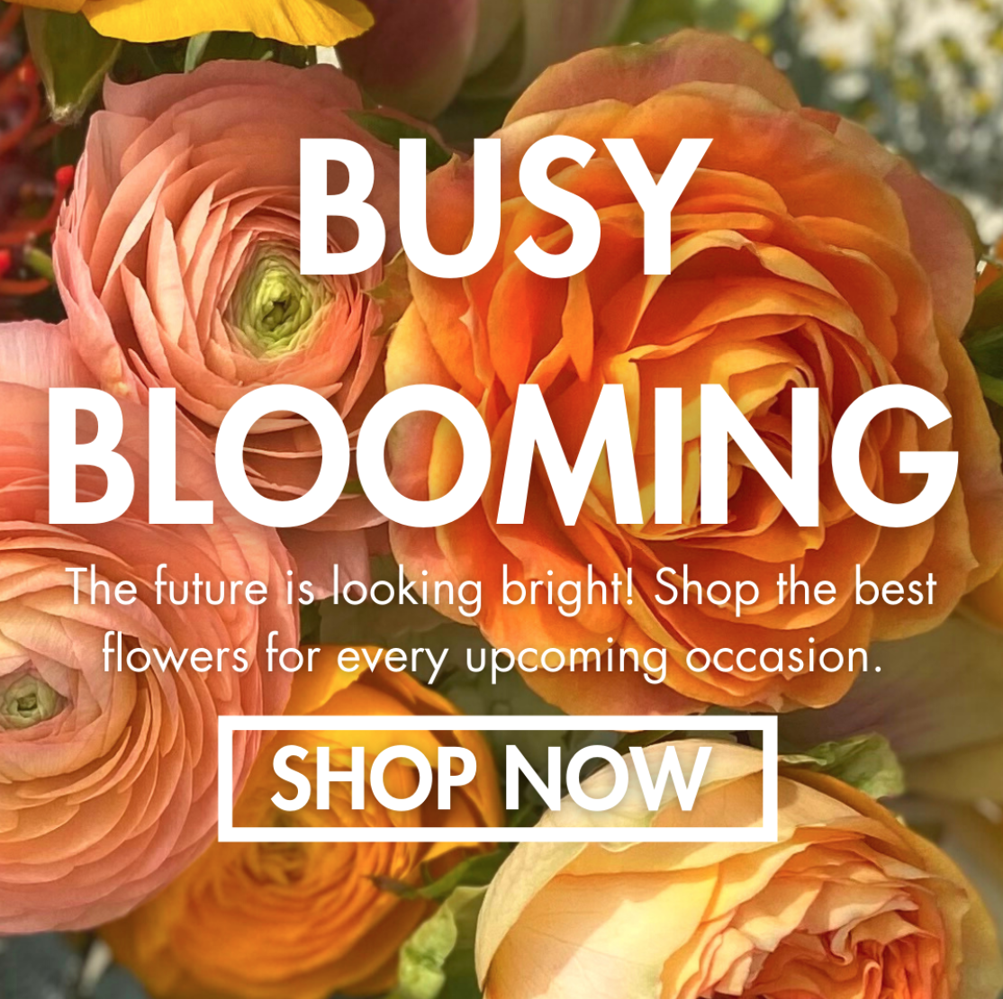 Screen Shot 2022-01-03 at 10.26.30 PM.png