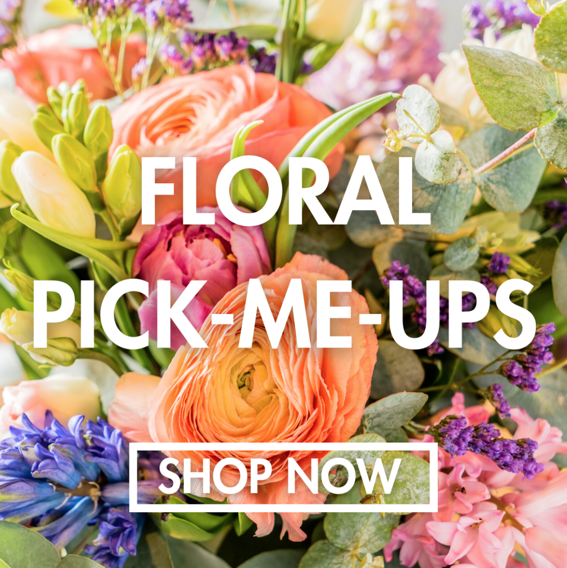 Screen Shot 2022-01-03 at 10.25.49 PM.png