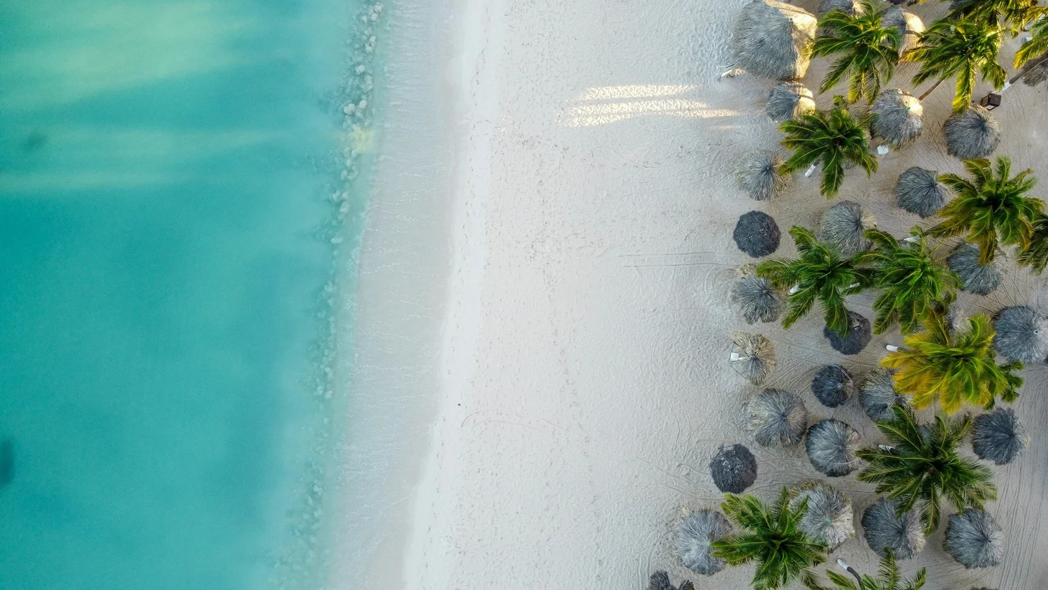 Aruba 2025 — Travel Array