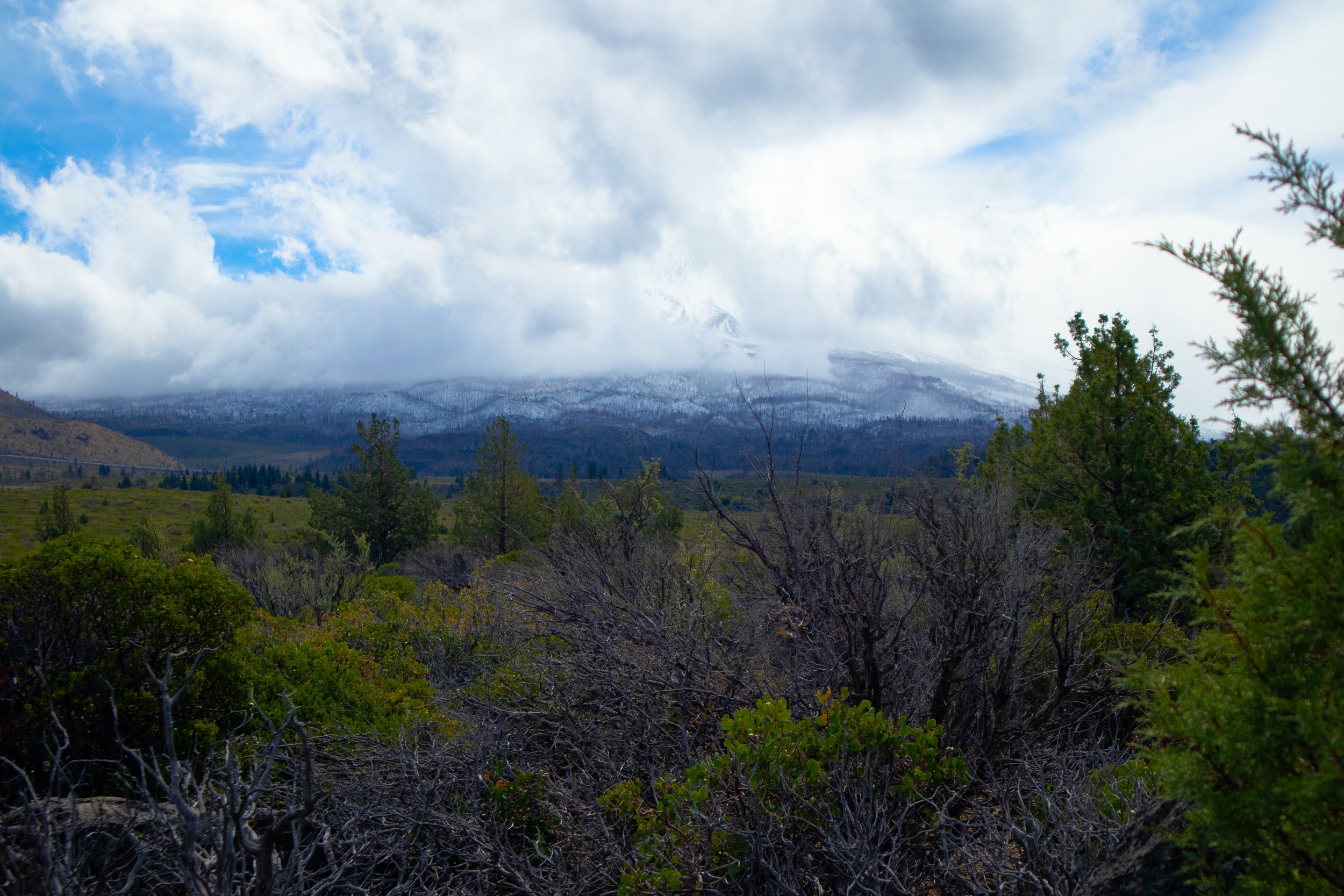 Mt Shasta Cloudy.jpg