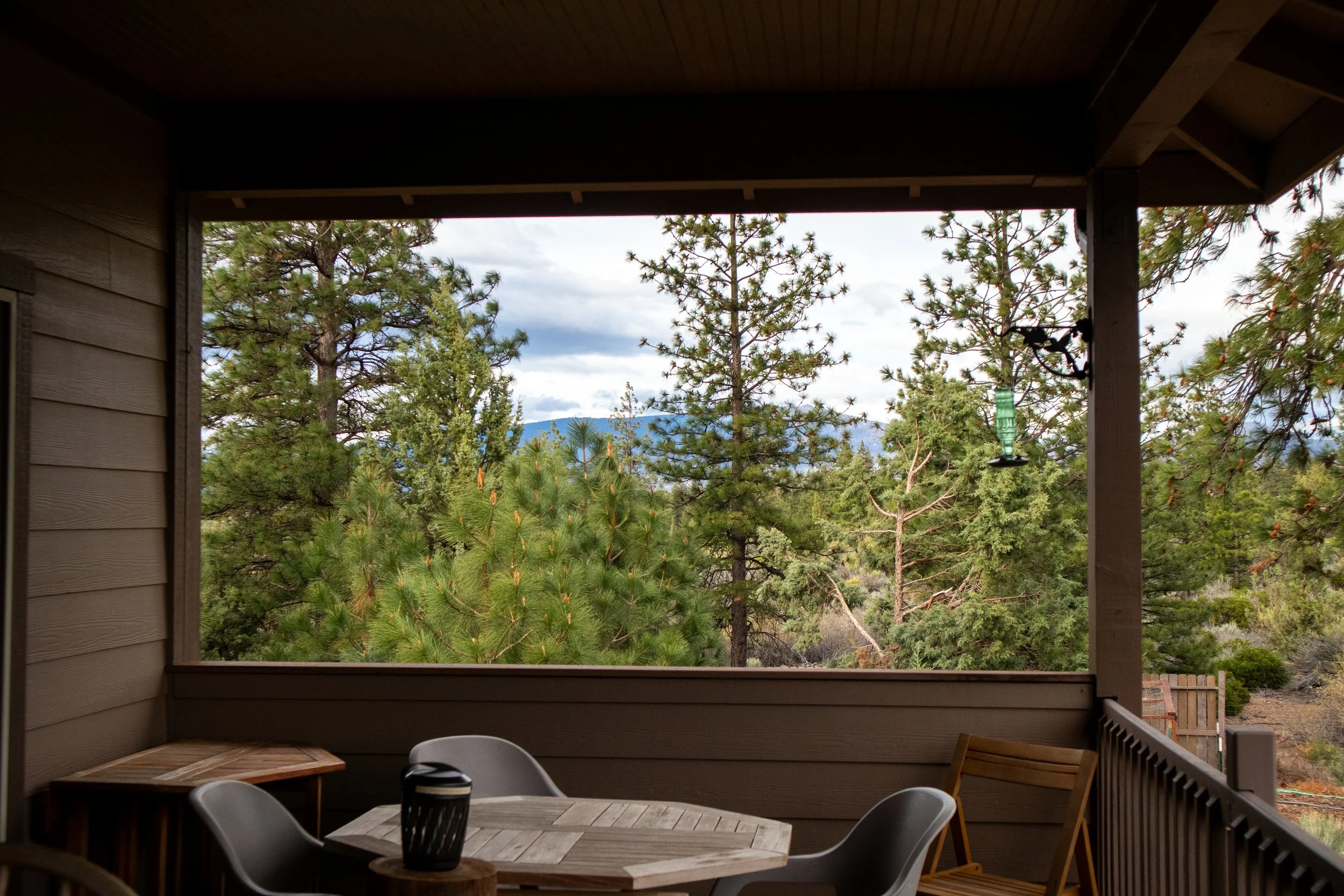 patio view.jpg