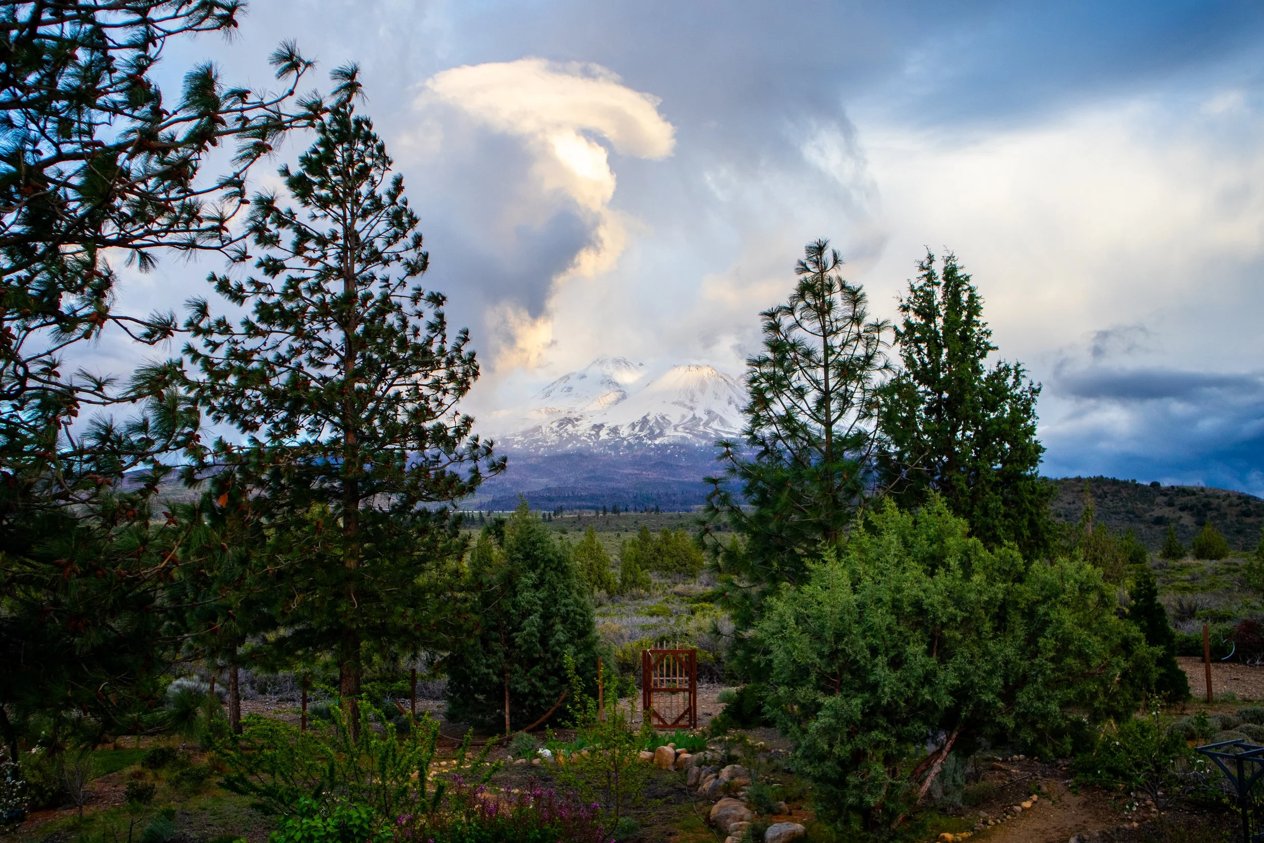 mt shasta view from living room 4.jpg