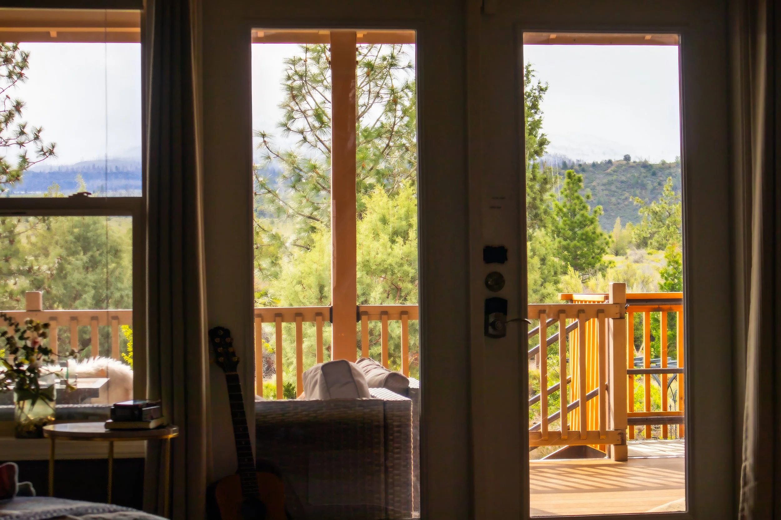 view from living room.jpg