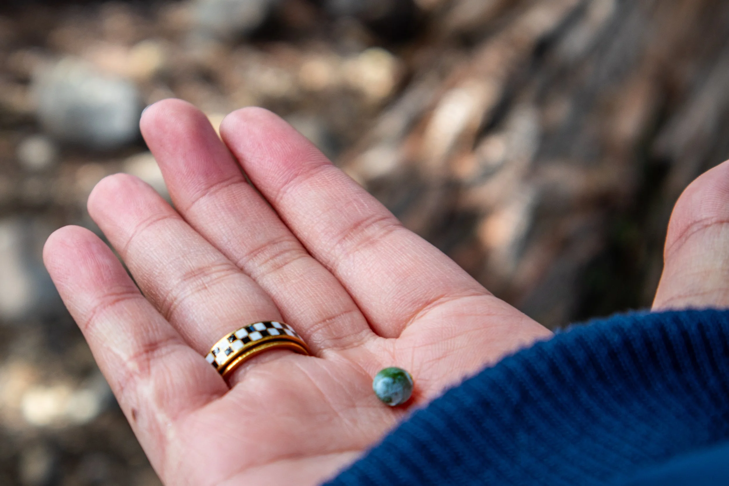 Juniper Berry.jpg