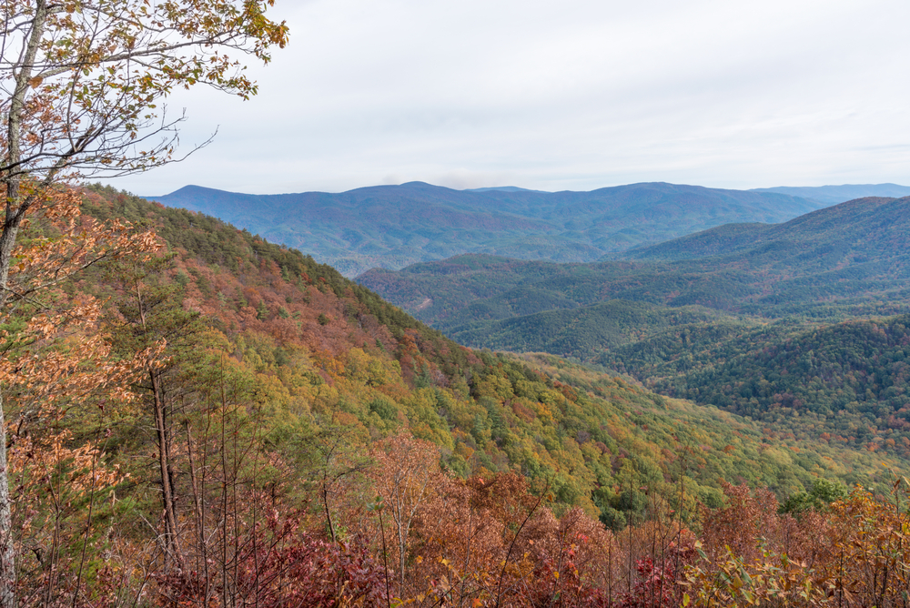 Ellijay