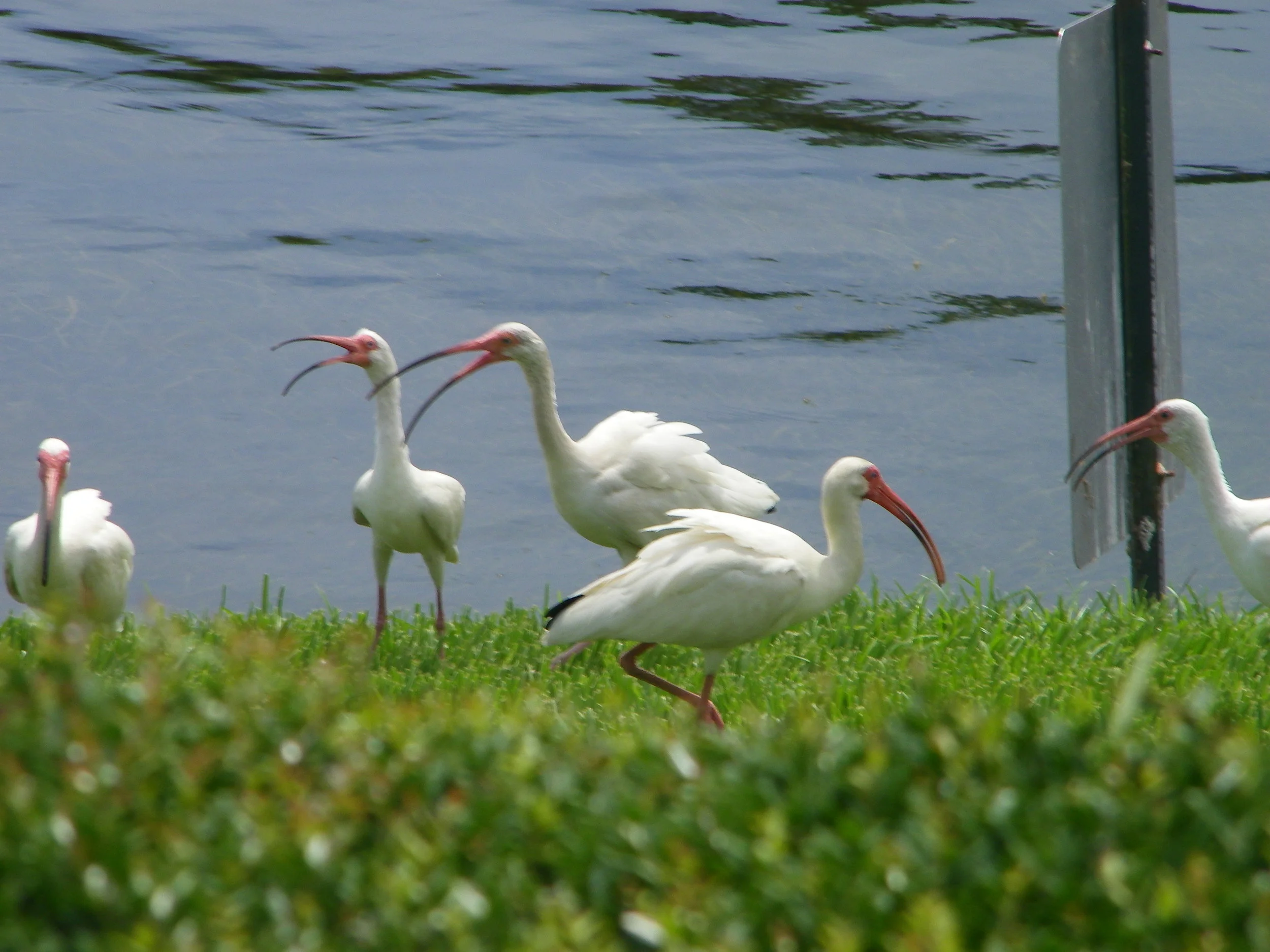 100_6454.JPG