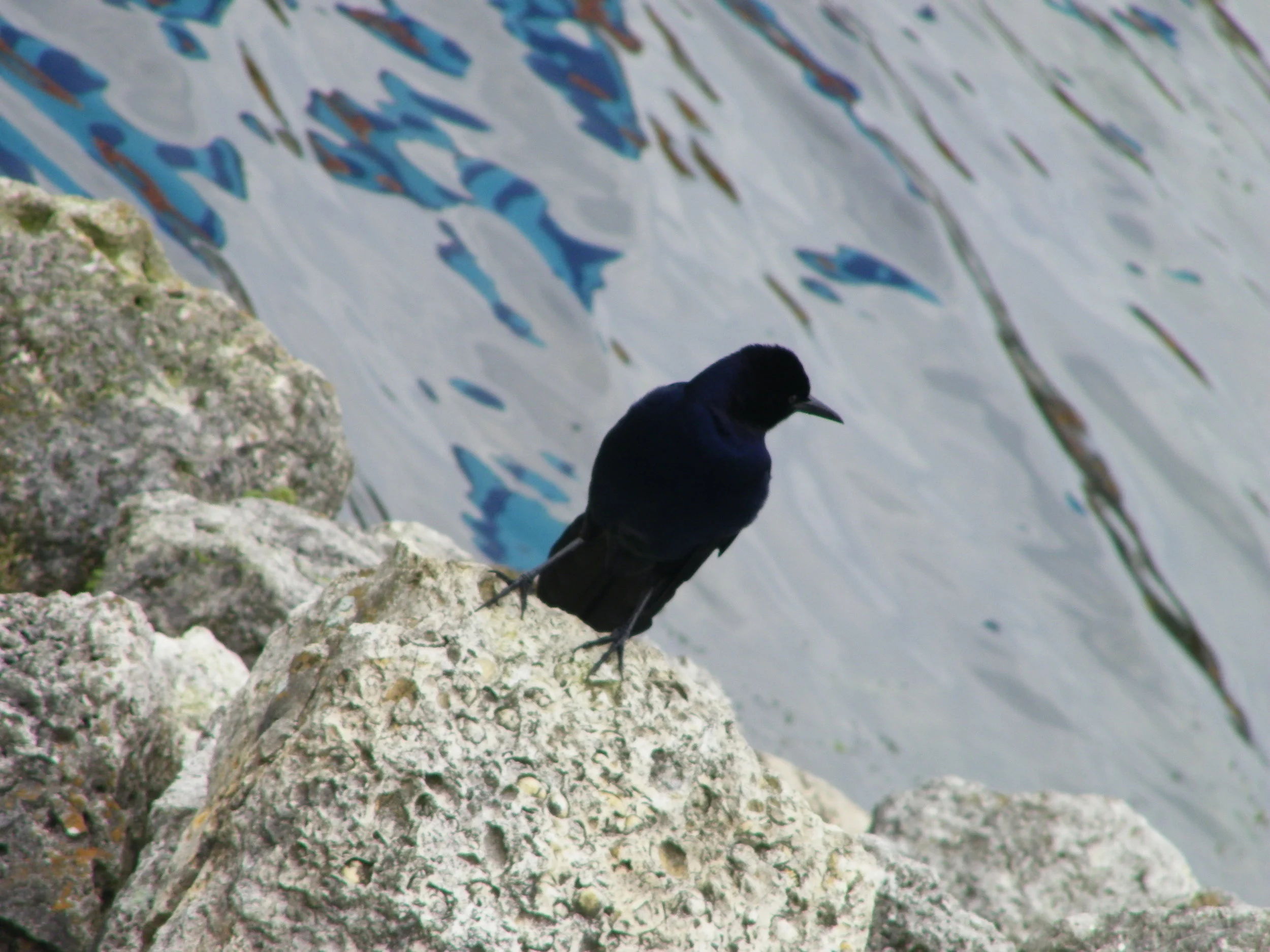 100_0412.JPG