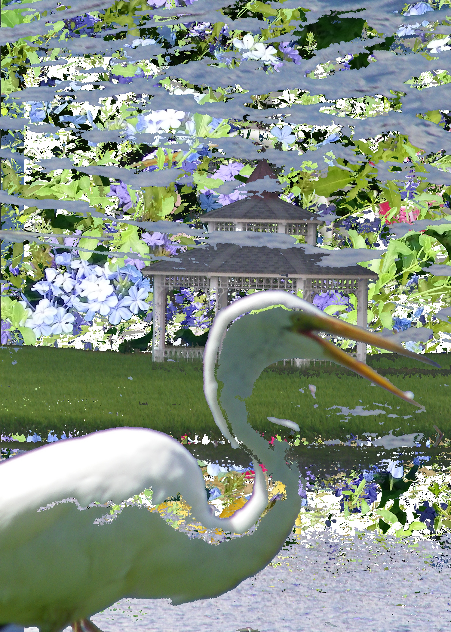 birddy 3.jpg