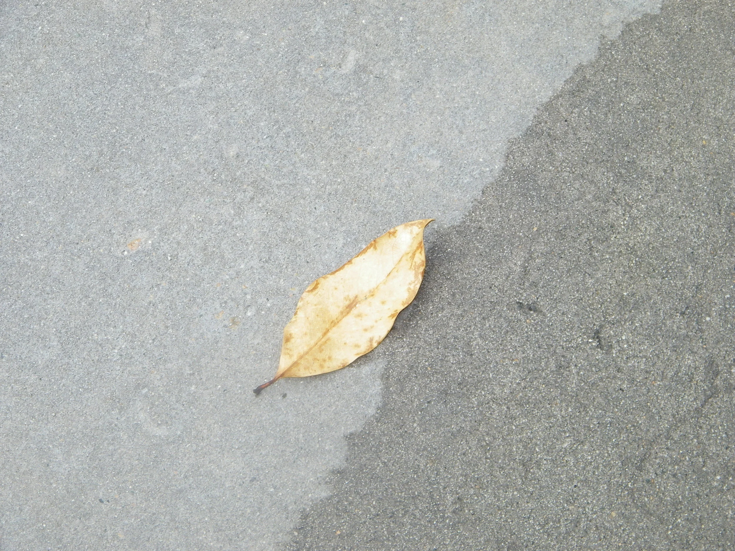 100_5326.JPG