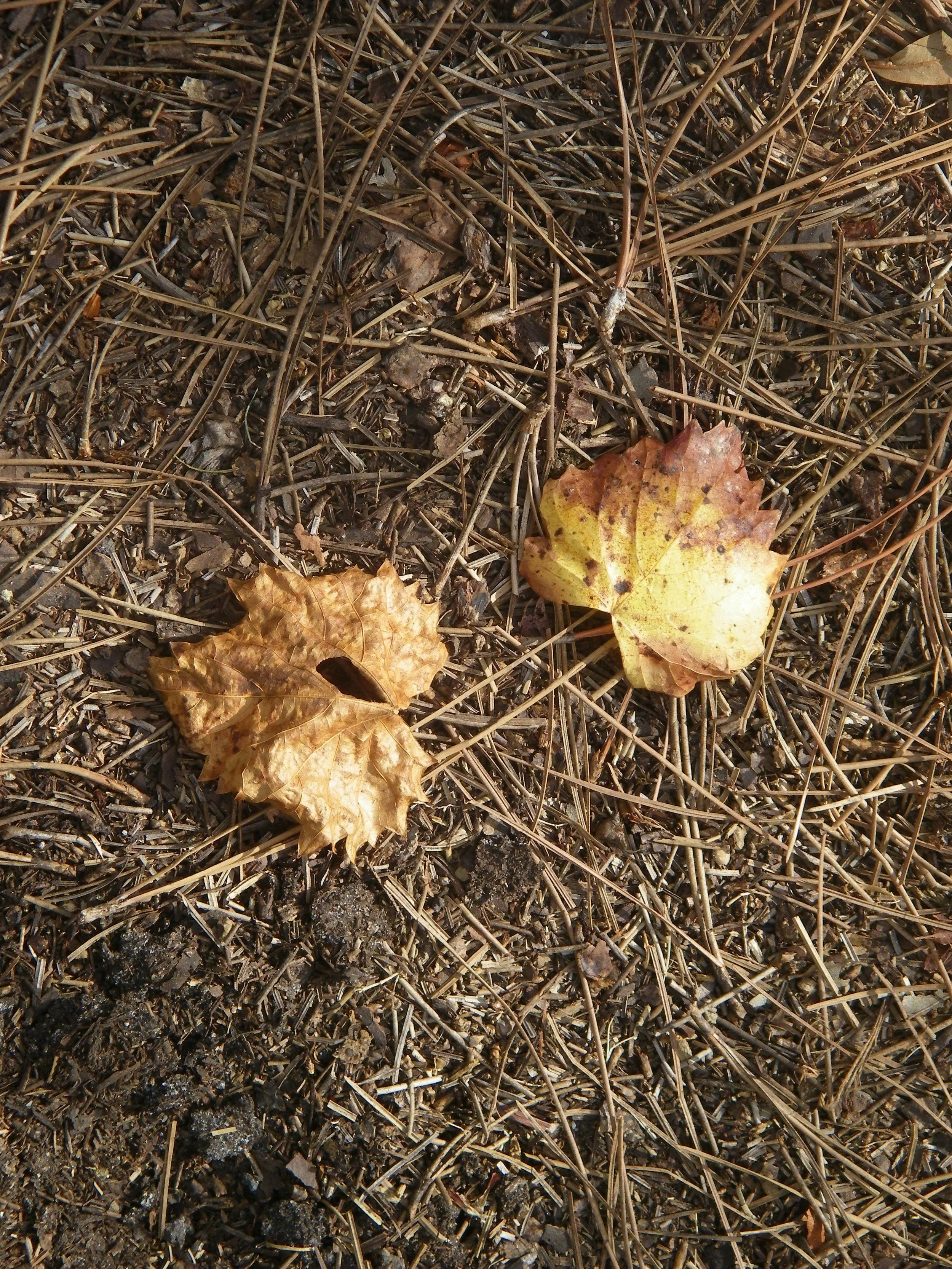 100_0019.JPG