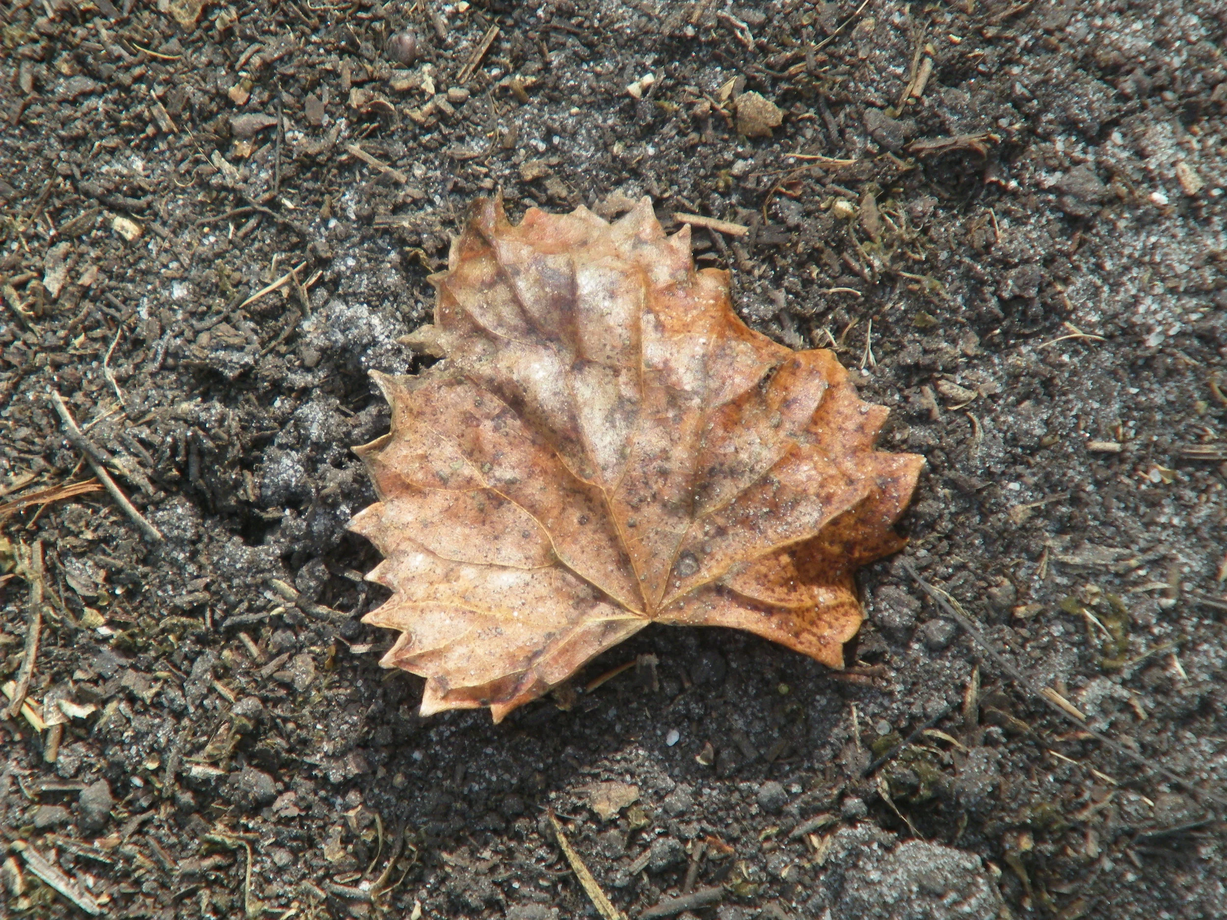 100_0020.JPG