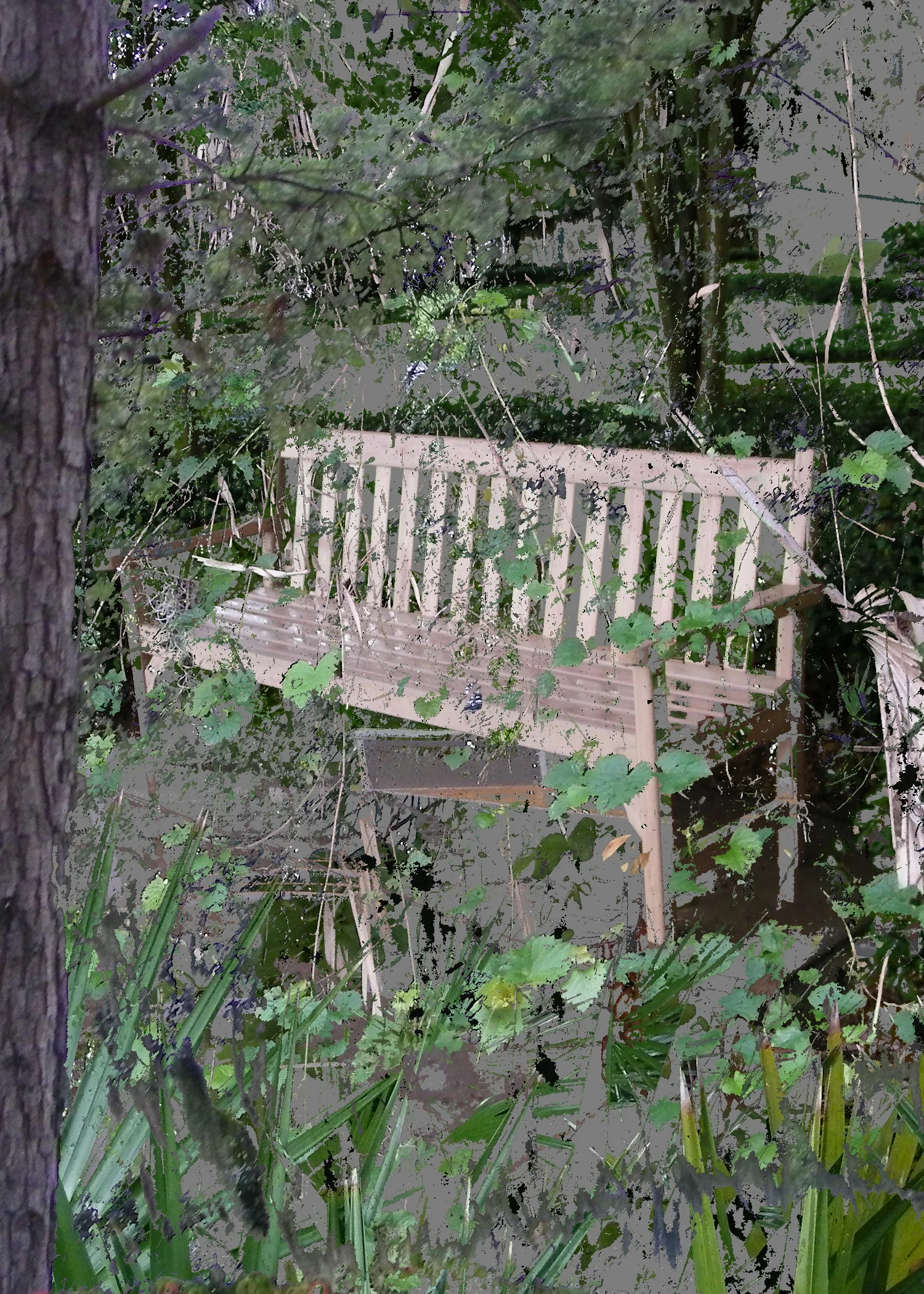 bench 02.jpg
