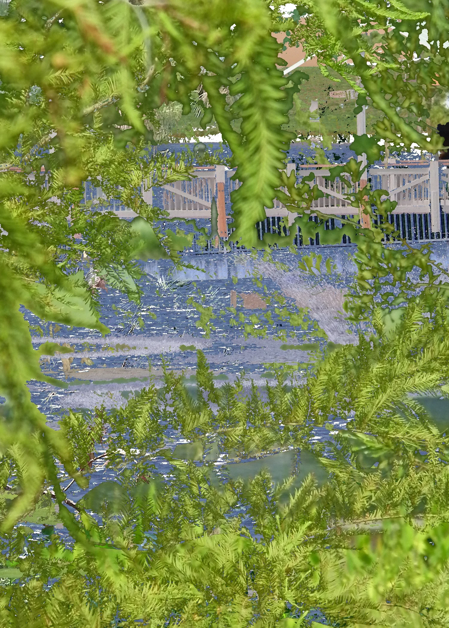 bridge 04.jpg