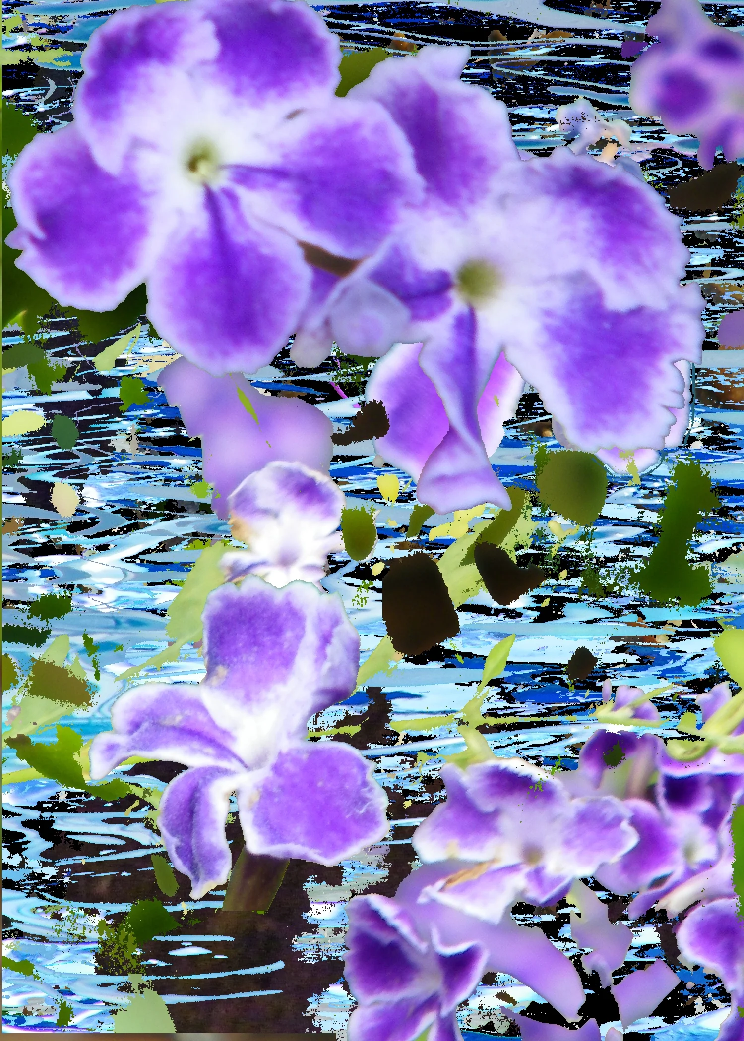 flower 3.jpg