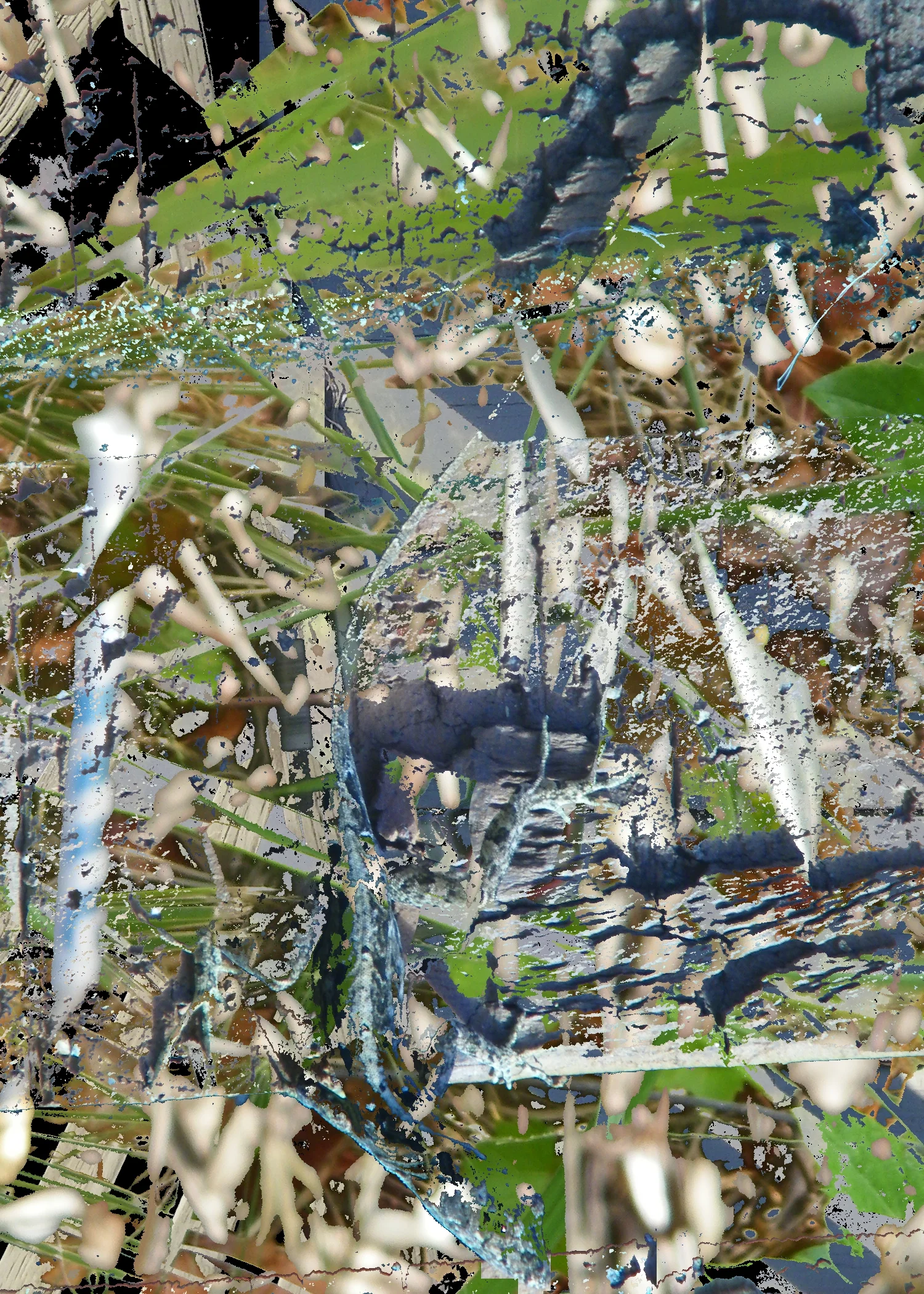 ground.jpg