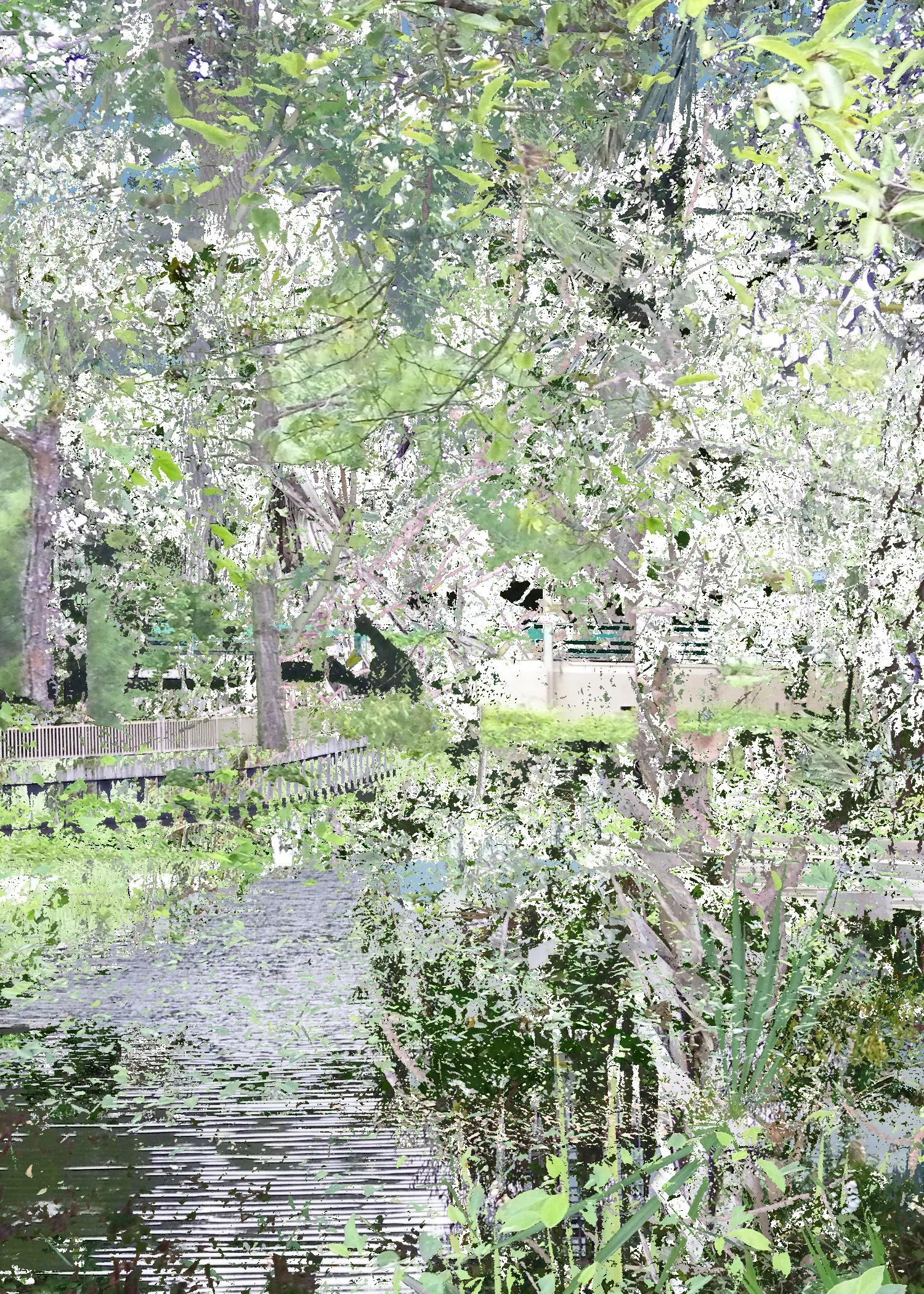 lake.jpg