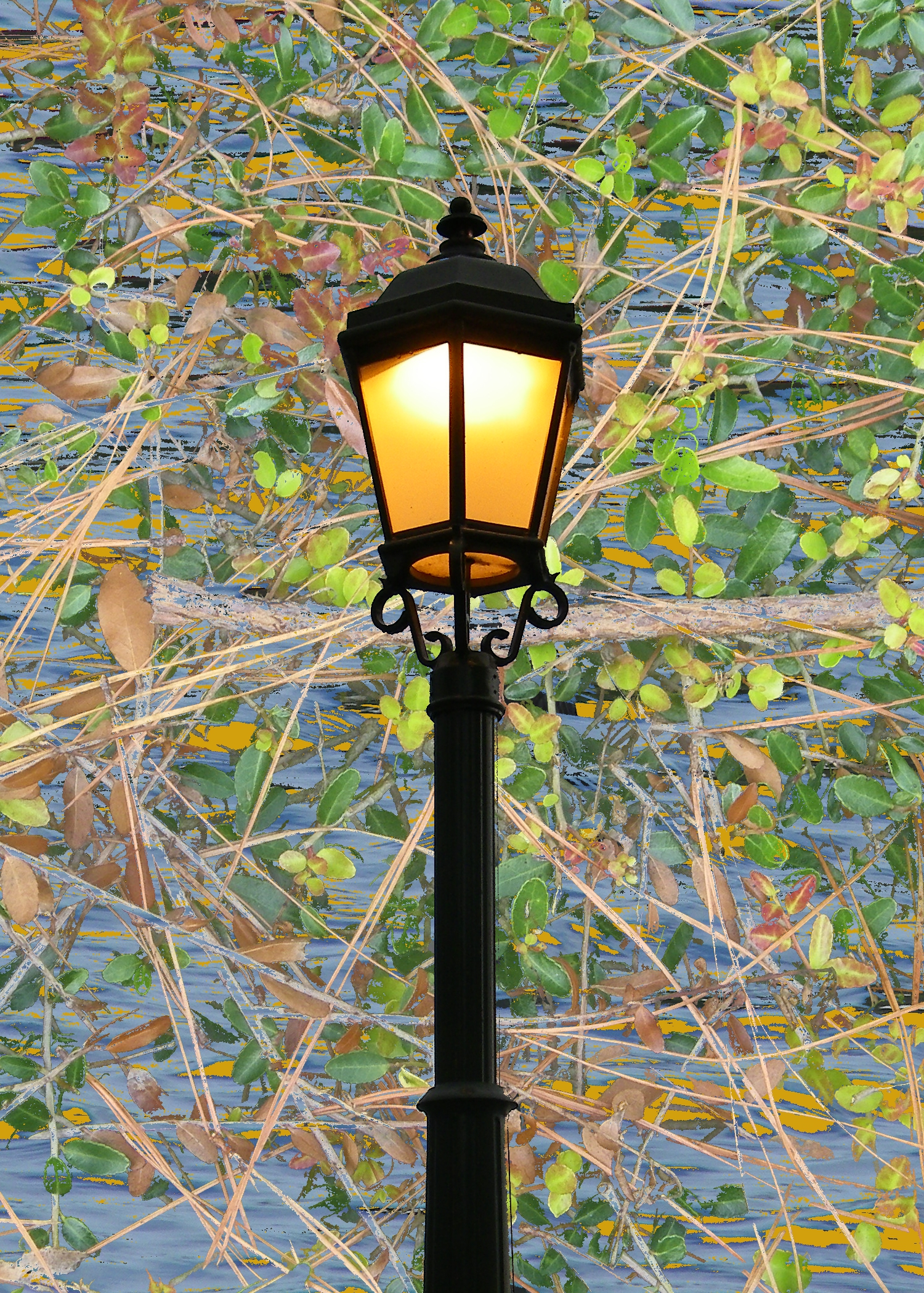 lamp.jpg
