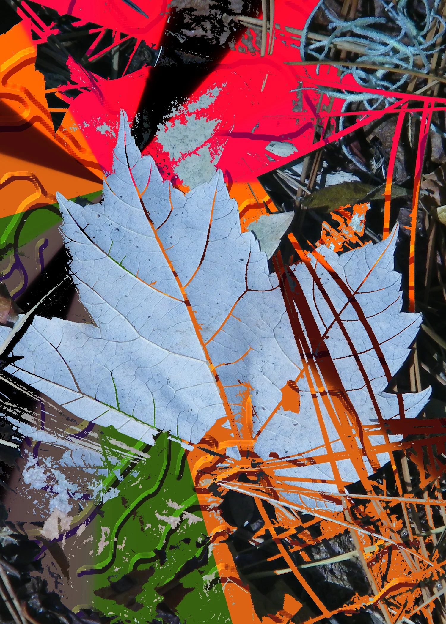 leaf 3.jpg