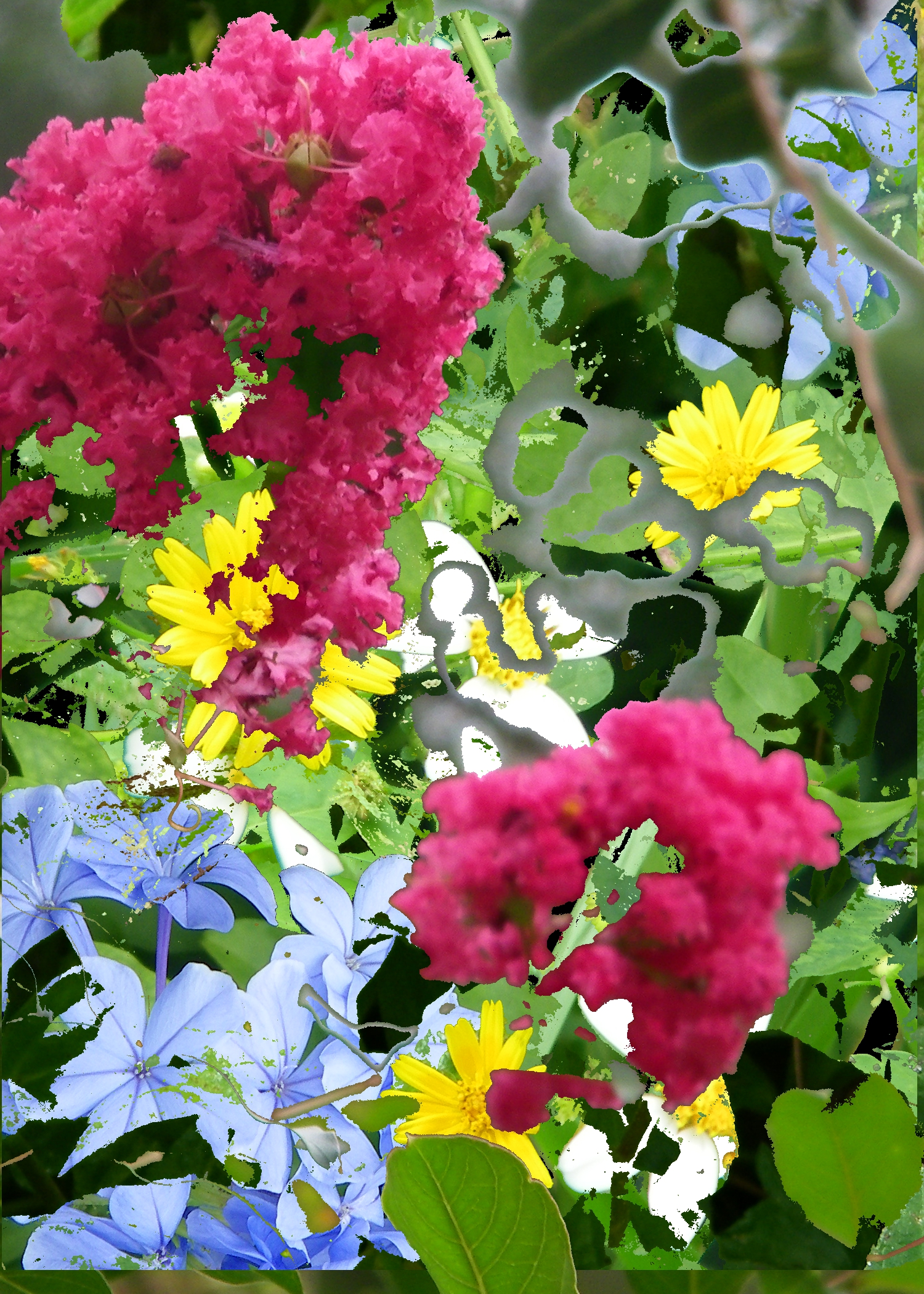 new flower.jpg