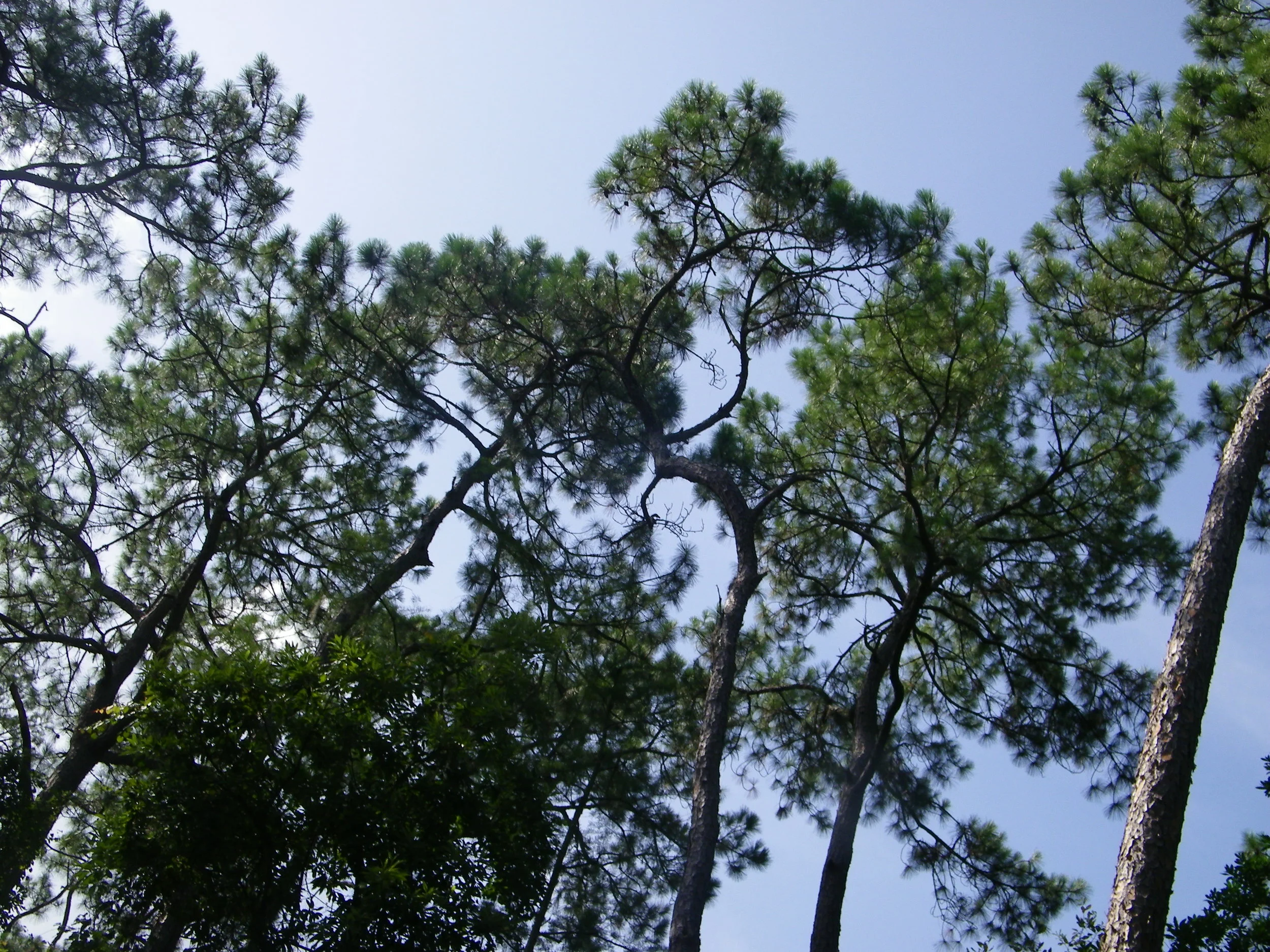 100_0028.JPG