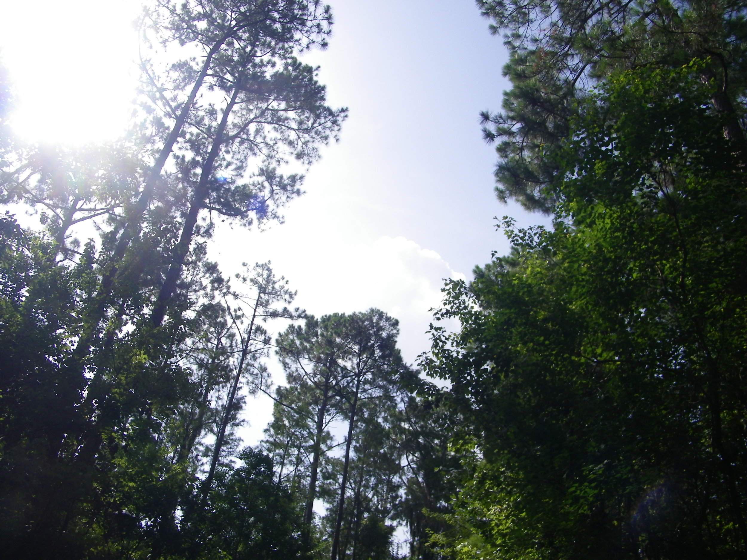 100_0030.JPG