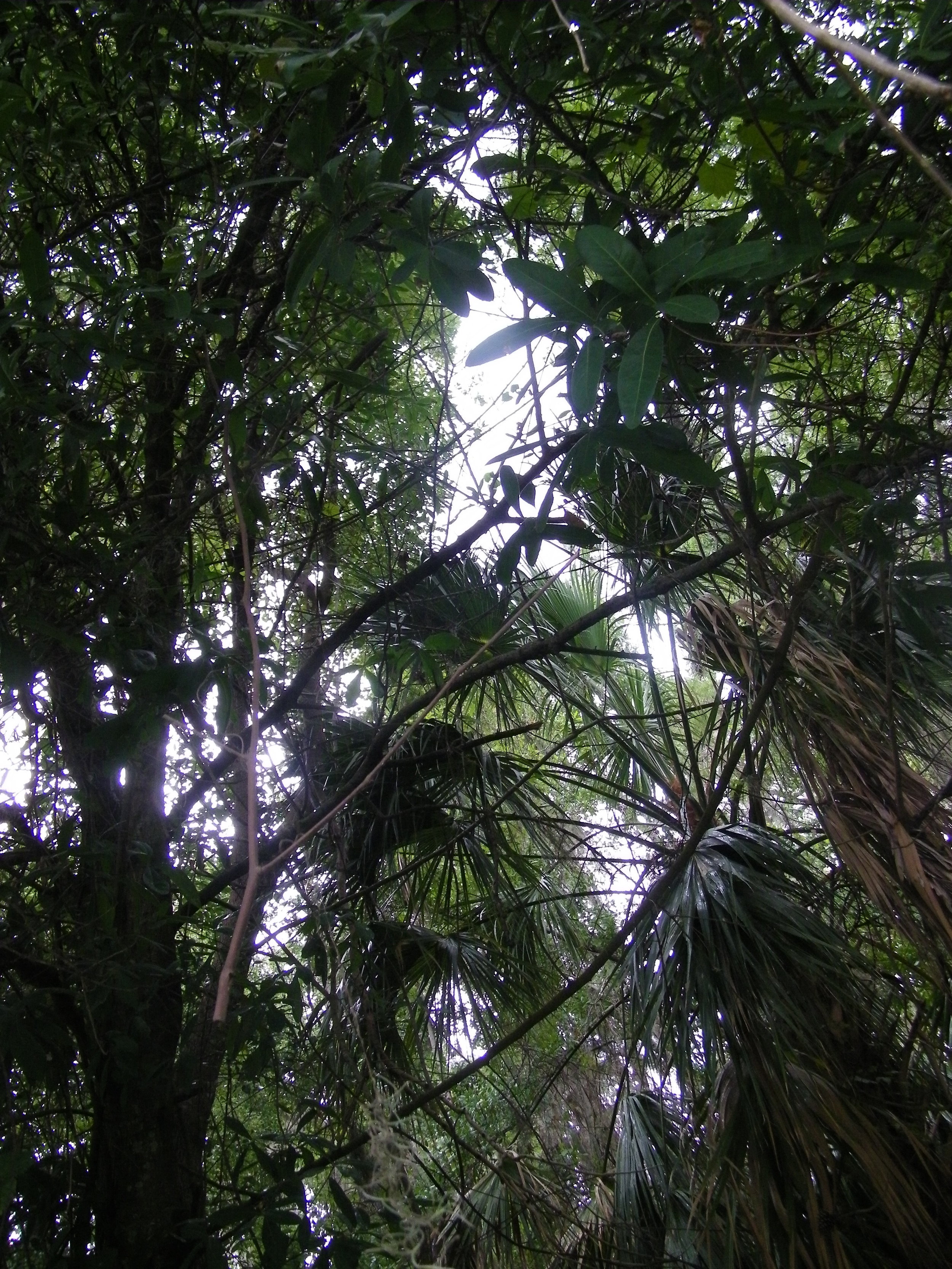 100_0448.JPG