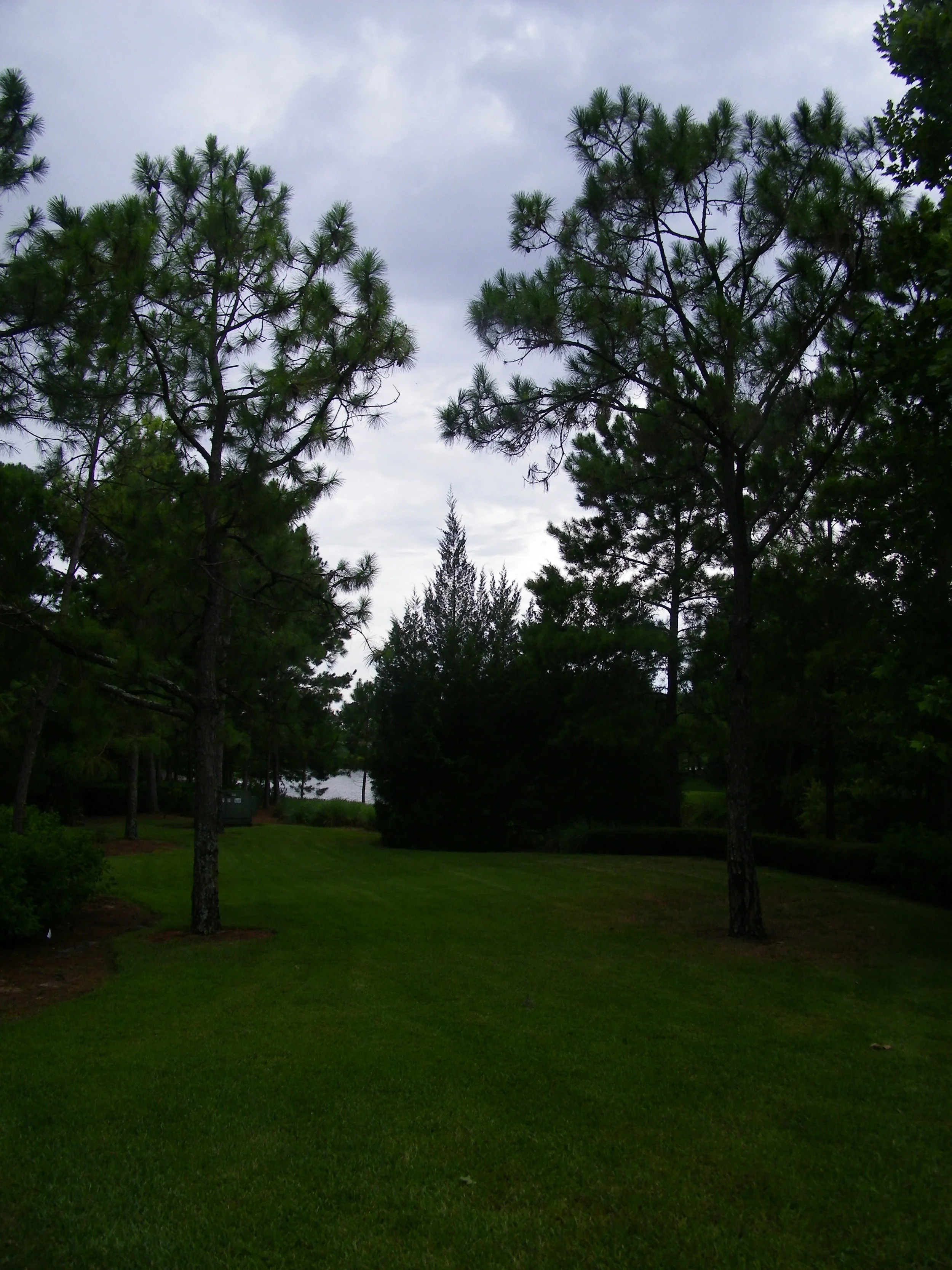 100_0476.JPG