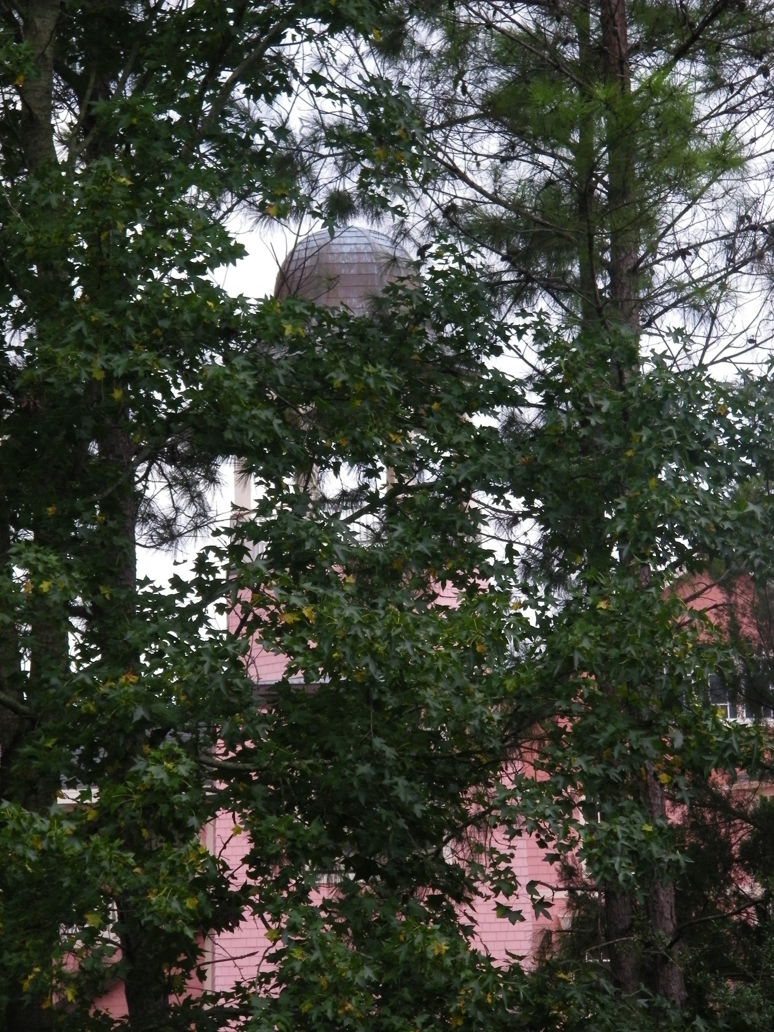 100_0481.JPG