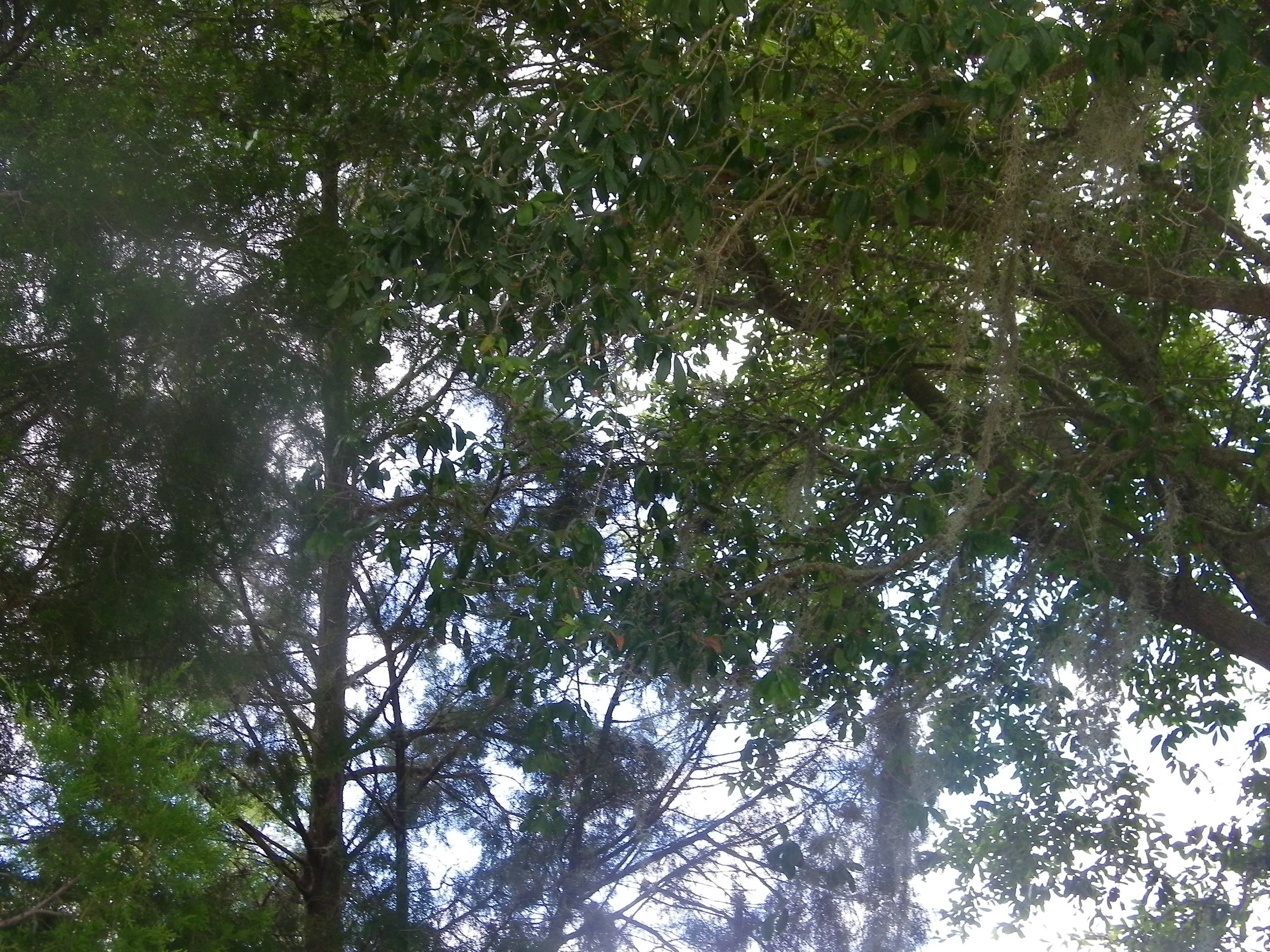 100_1007.JPG