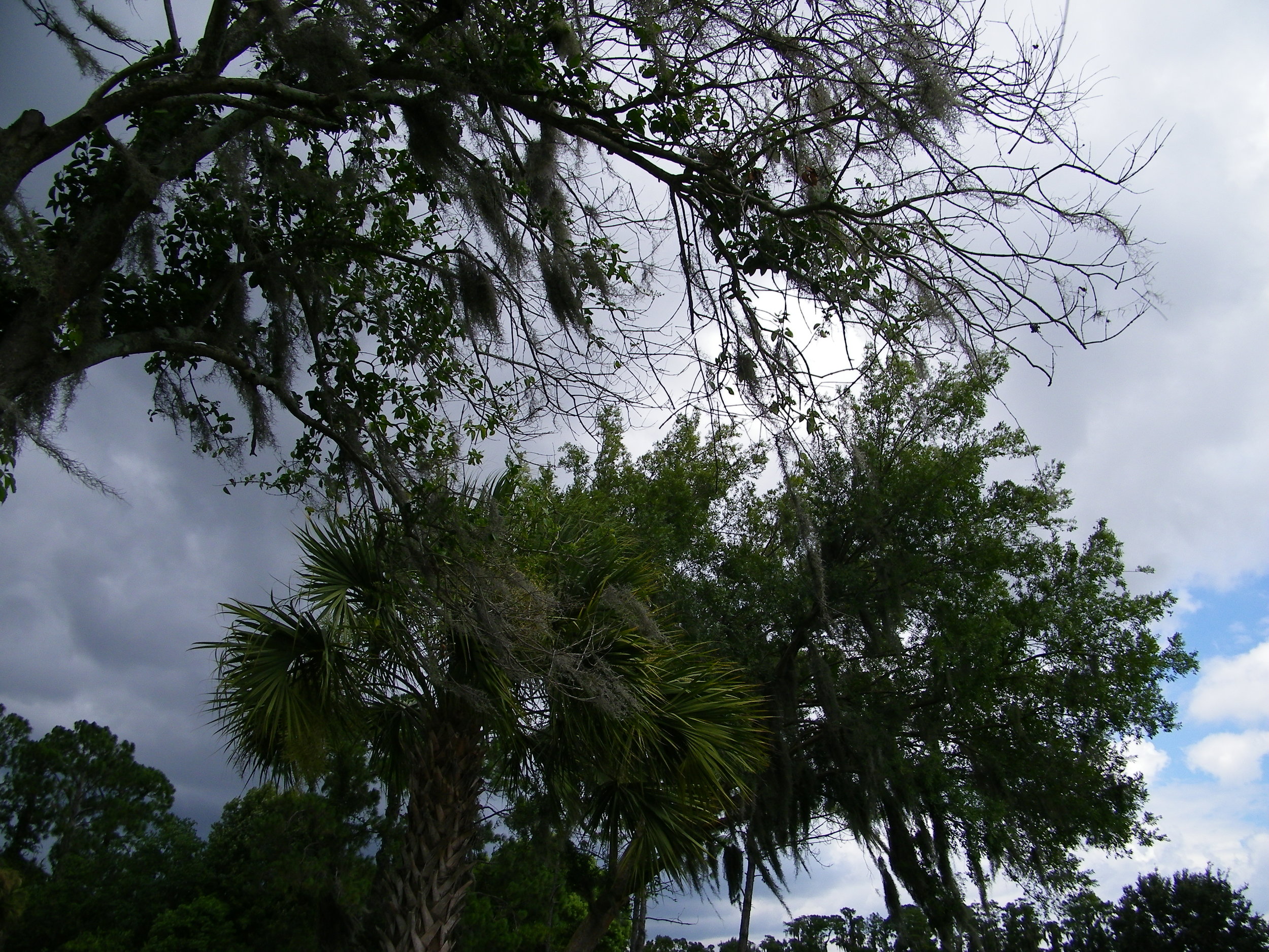100_1009.JPG