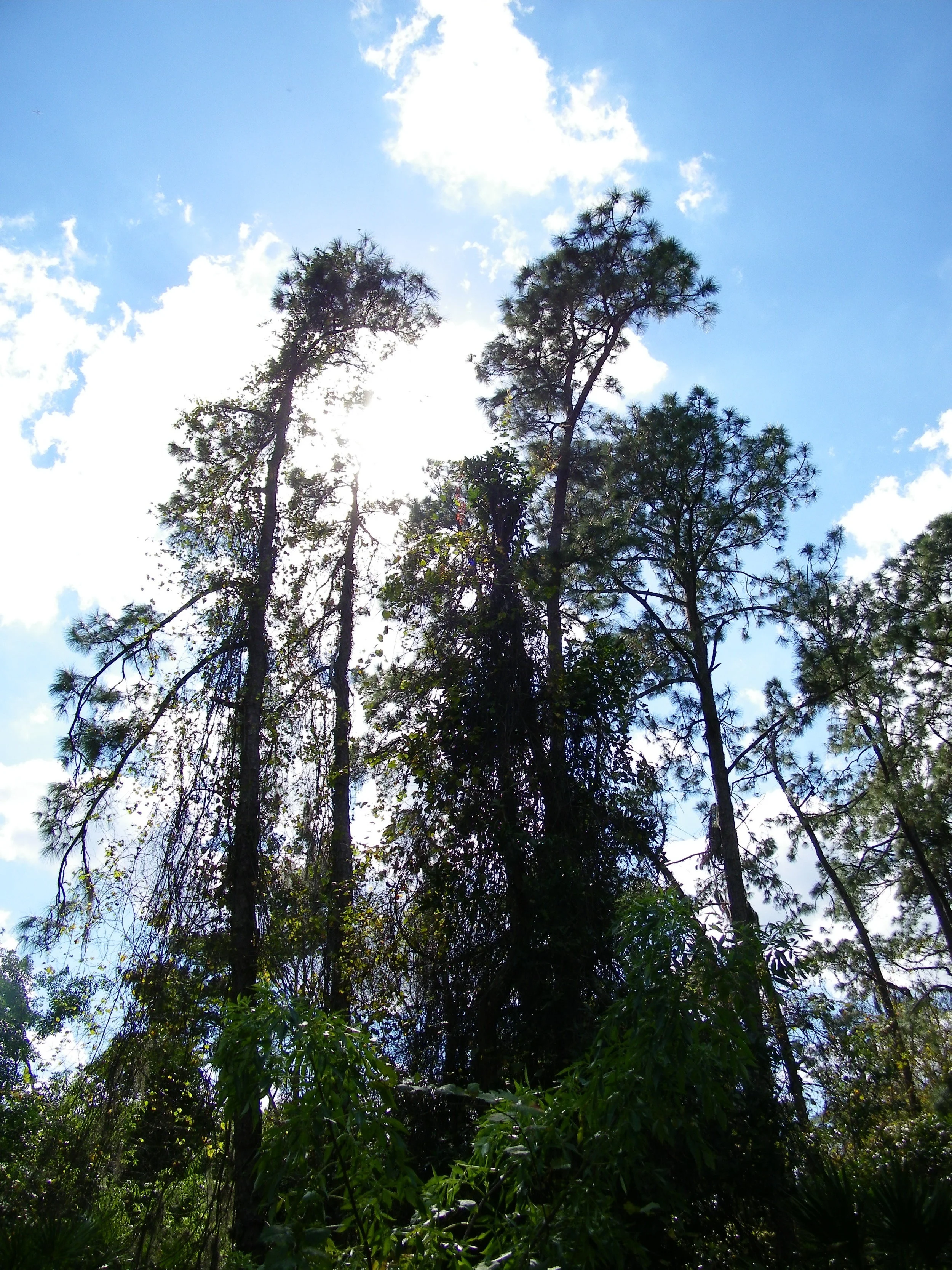 100_0016.JPG