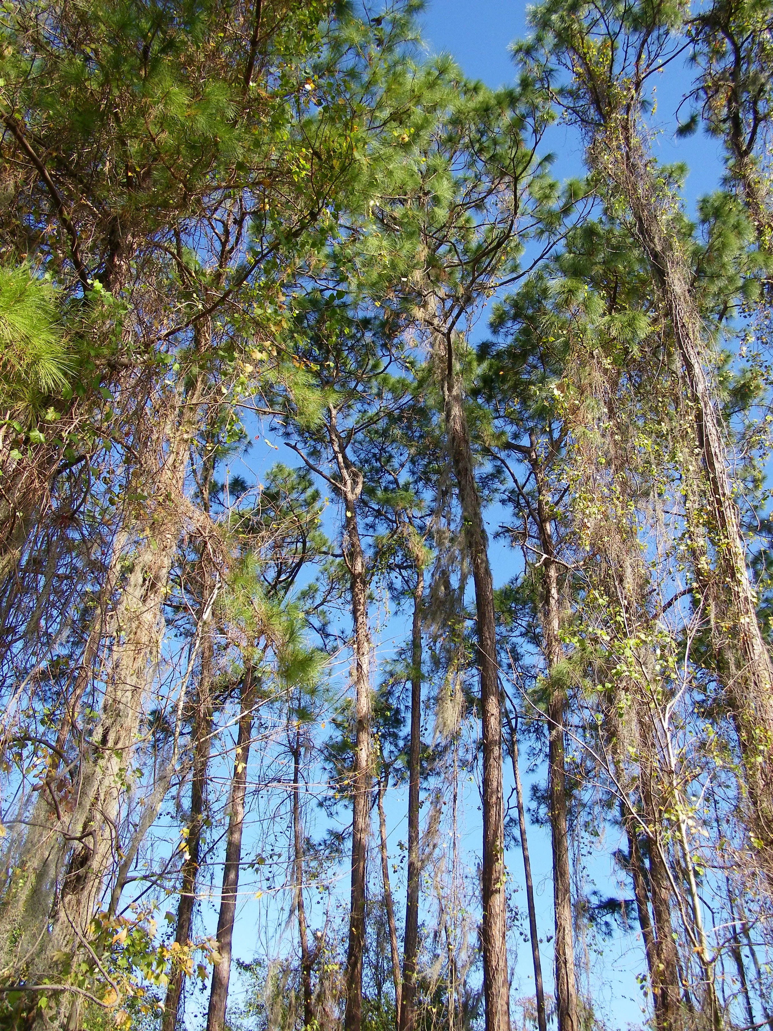 100_0070.JPG